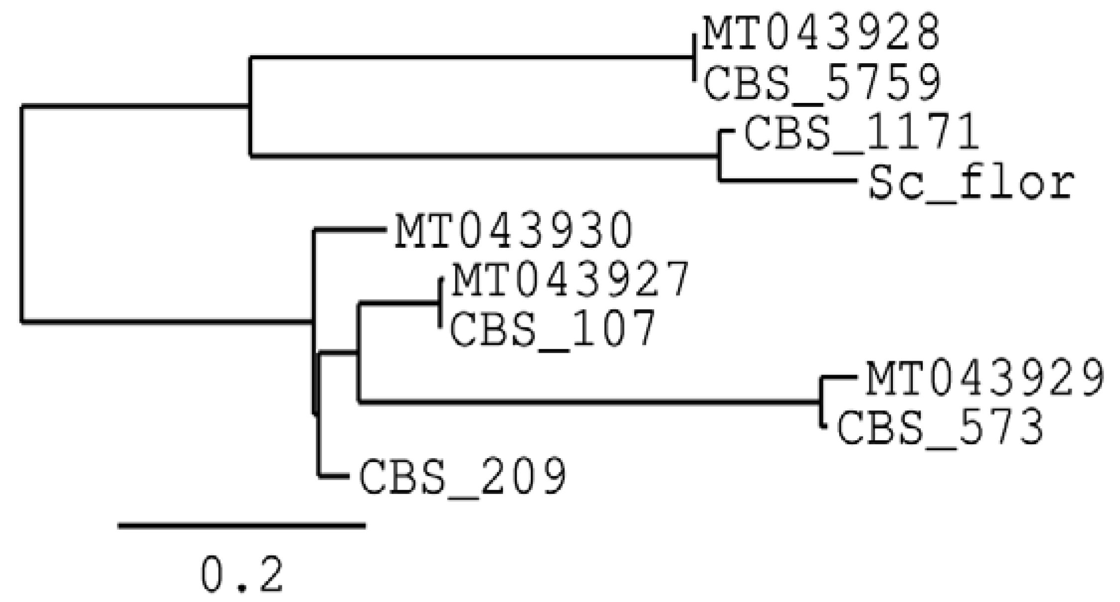 Fermentation 08 00456 g001