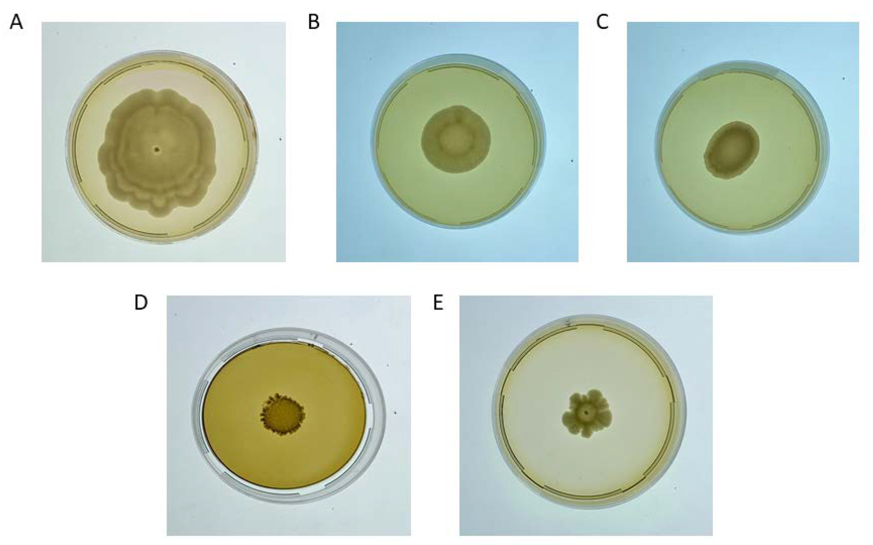 Fermentation 08 00456 g002