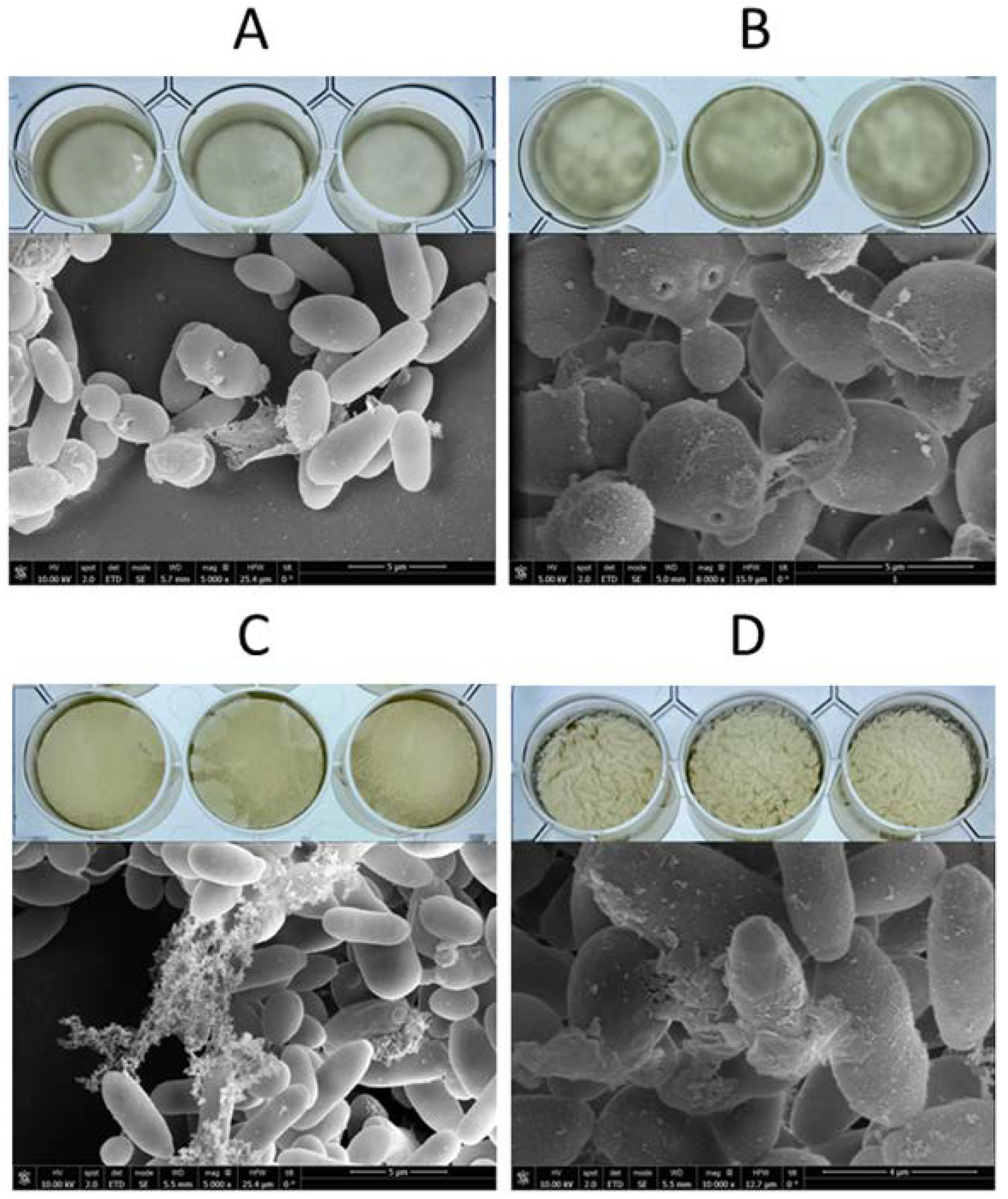 Fermentation 08 00456 g003