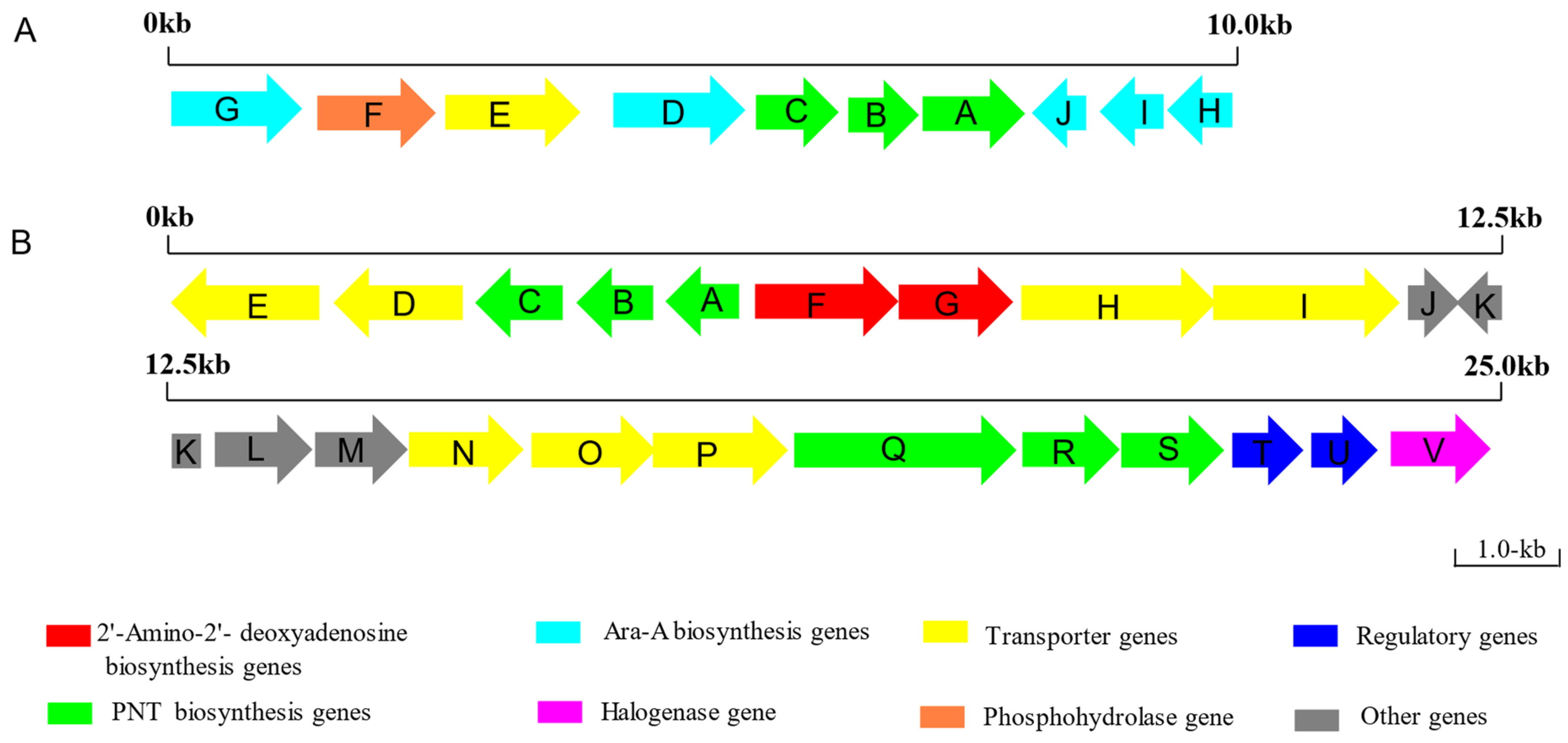 Fermentation 08 00459 g003