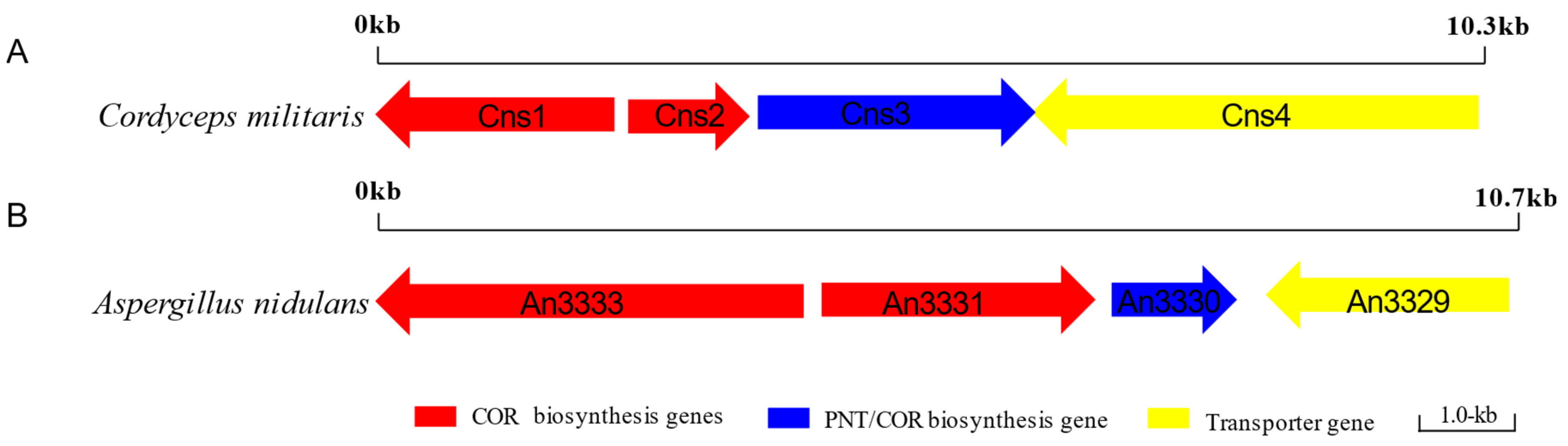 Fermentation 08 00459 g005