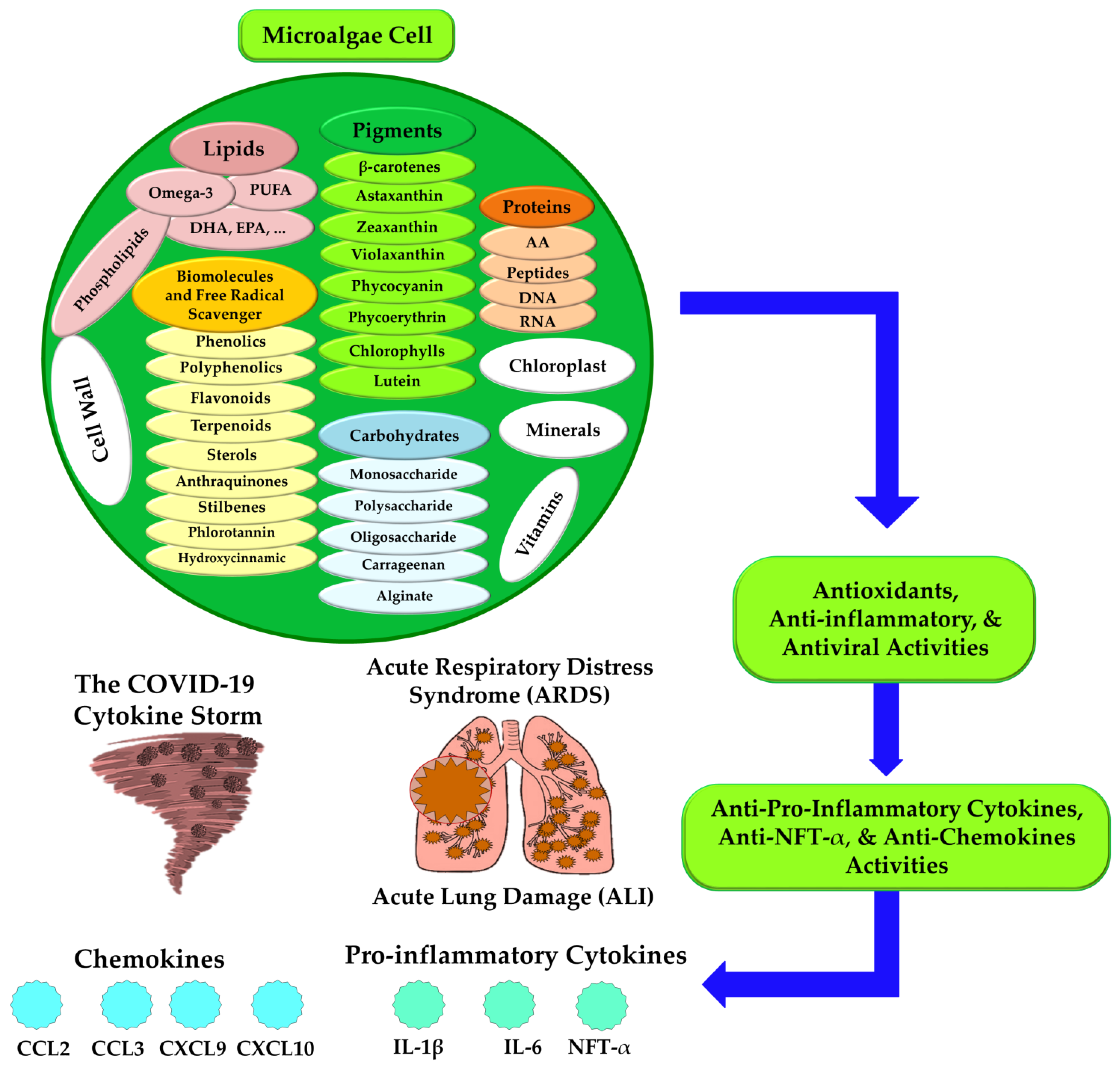 Fermentation 08 00466 g003 Fermentation 08 00466 g003