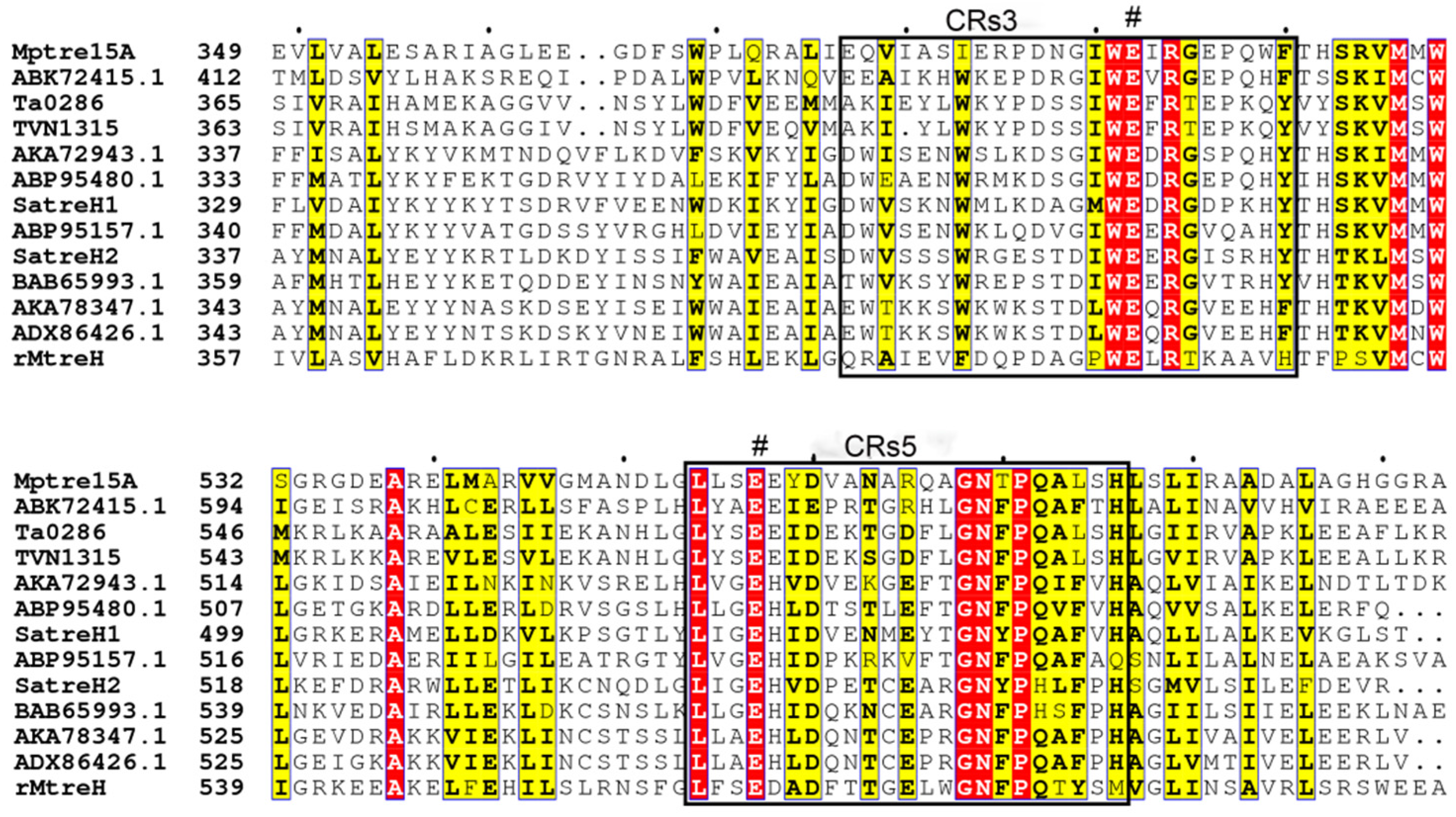 Fermentation 08 00471 g003 Fermentation 08 00471 g003