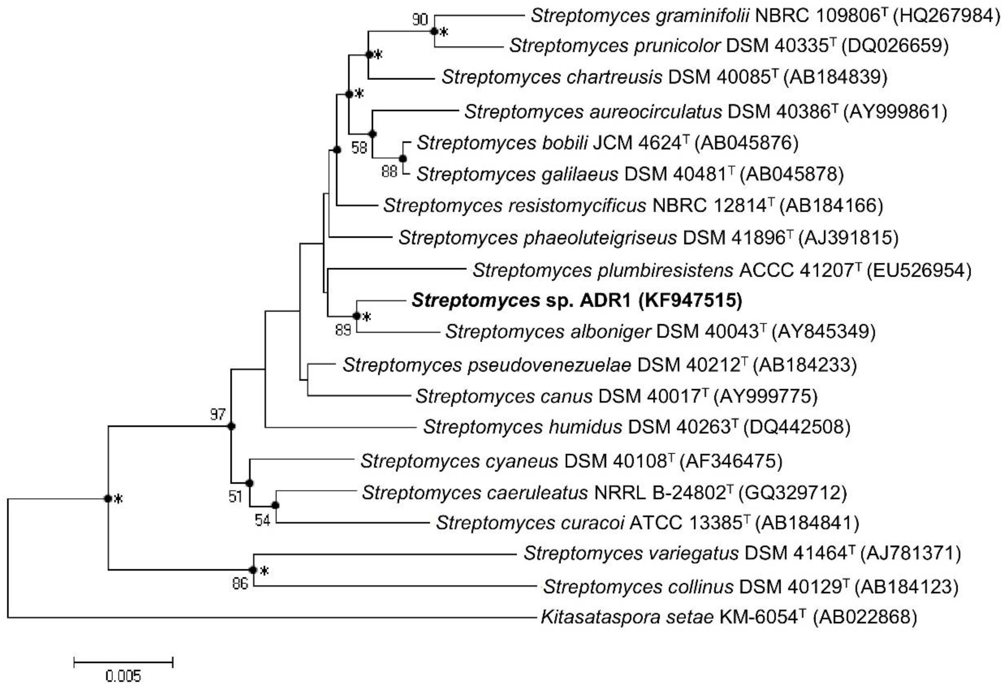 Fermentation 08 00473 g002