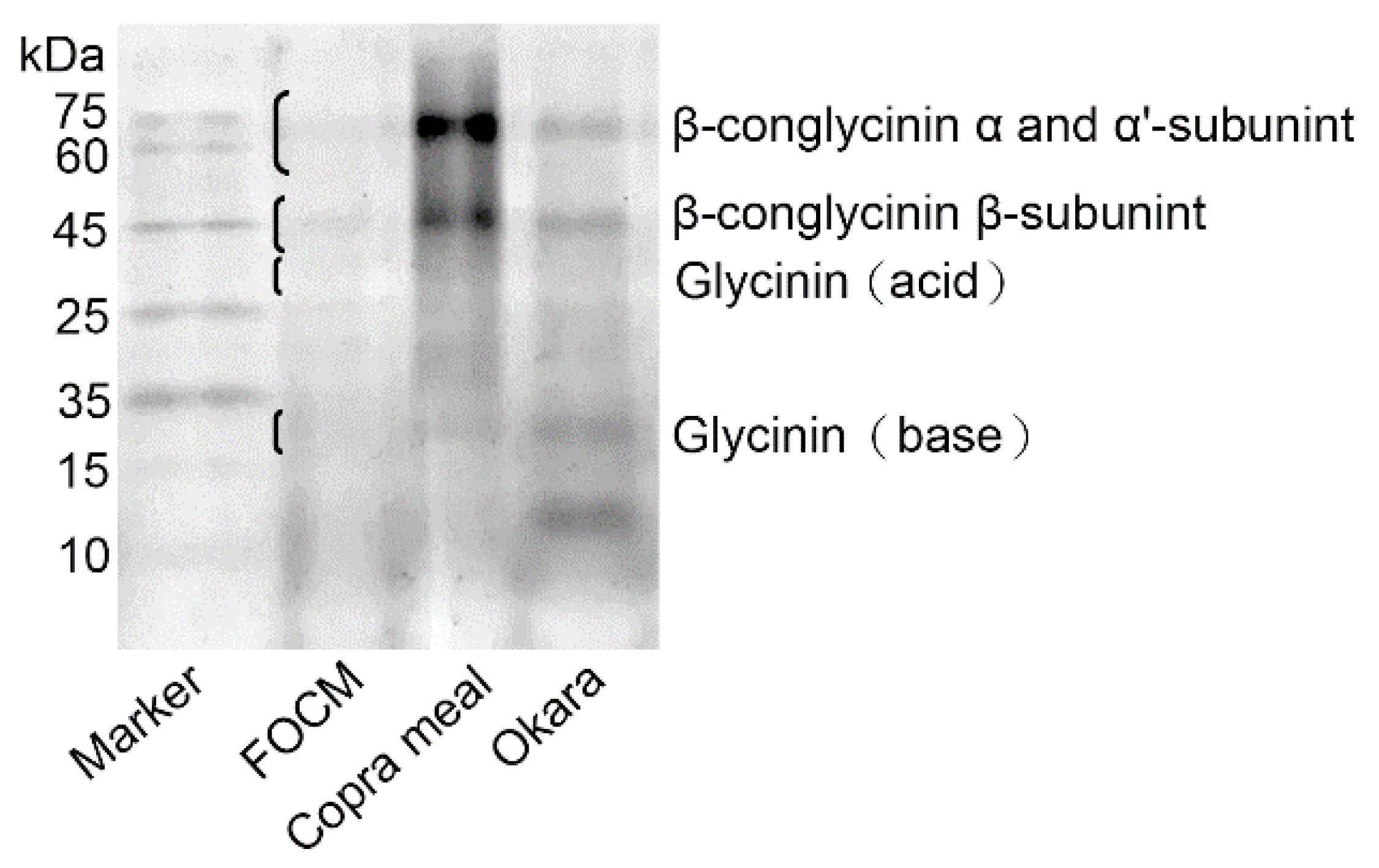 Fermentation 08 00478 g004