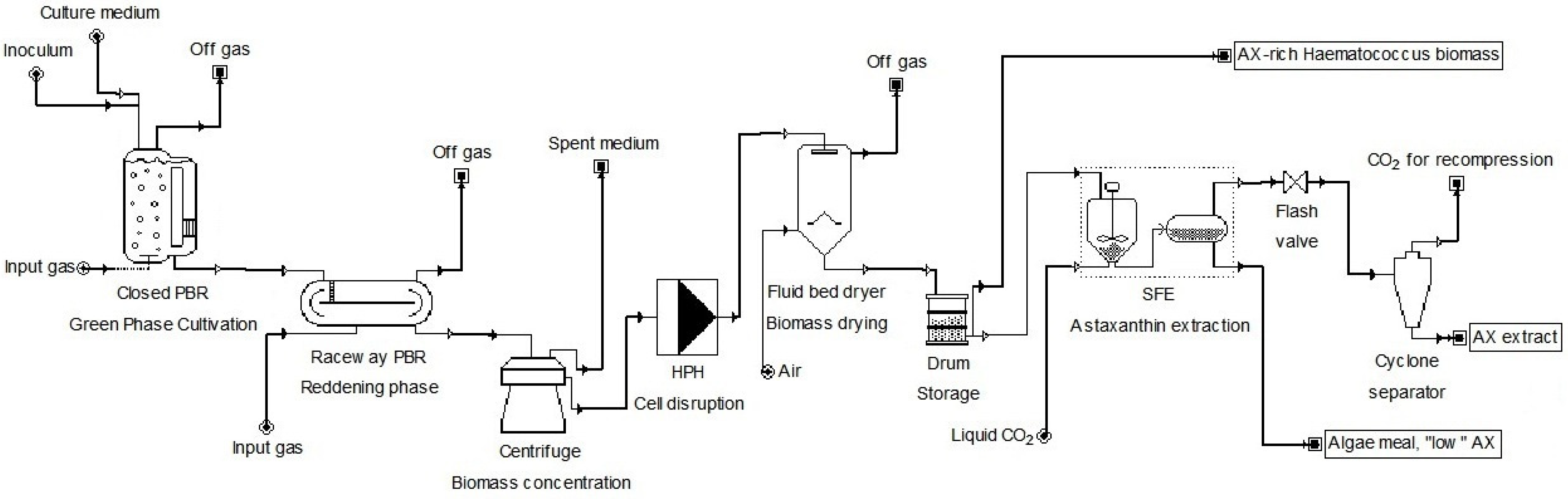 Fermentation 08 00484 g001