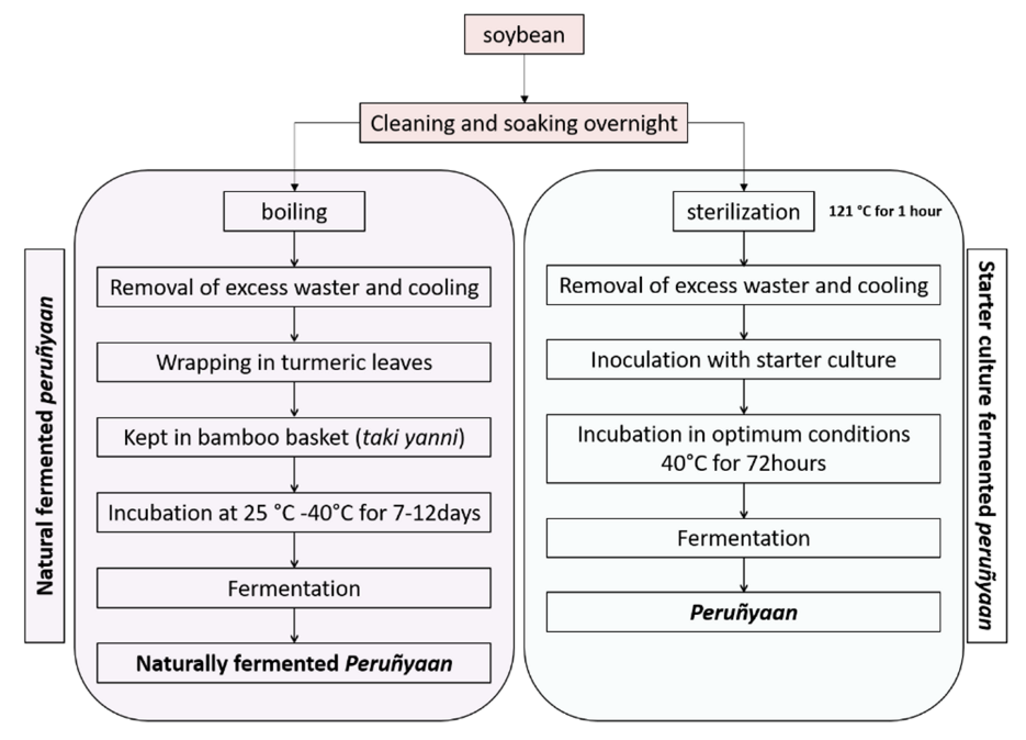 Fermentation 08 00495 g003 550