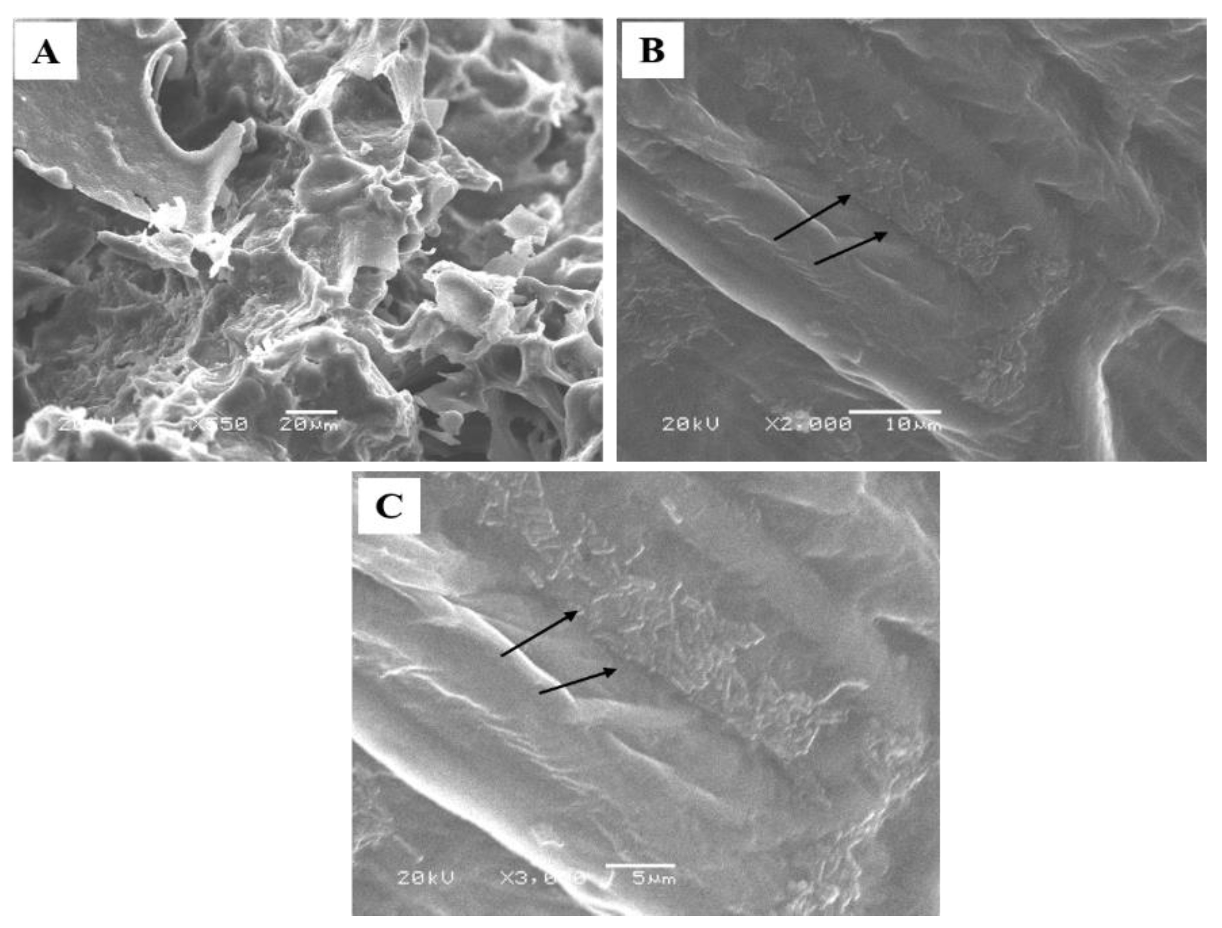 Fermentation 08 00496 g002 Fermentation 08 00496 g002
