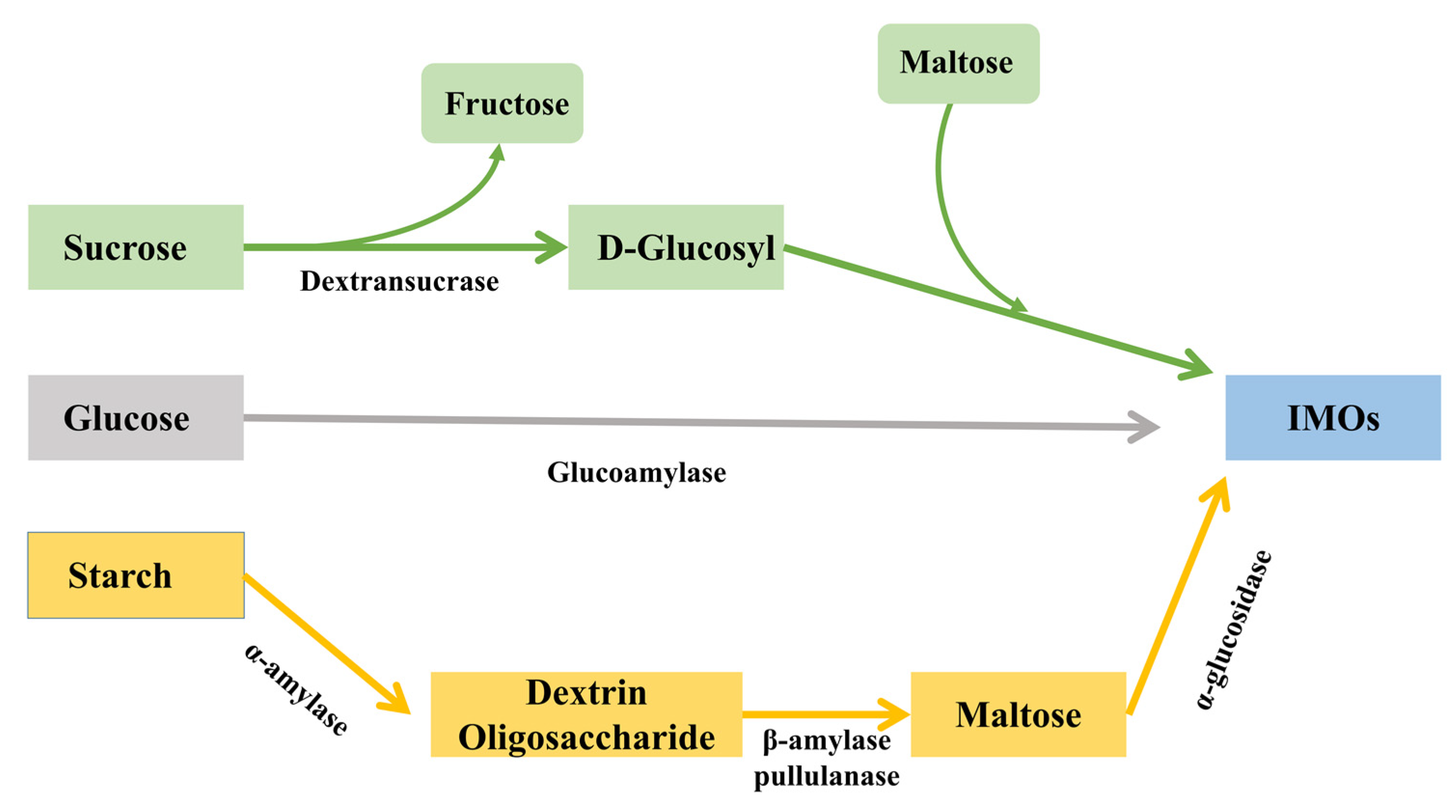 Fermentation 08 00498 g001