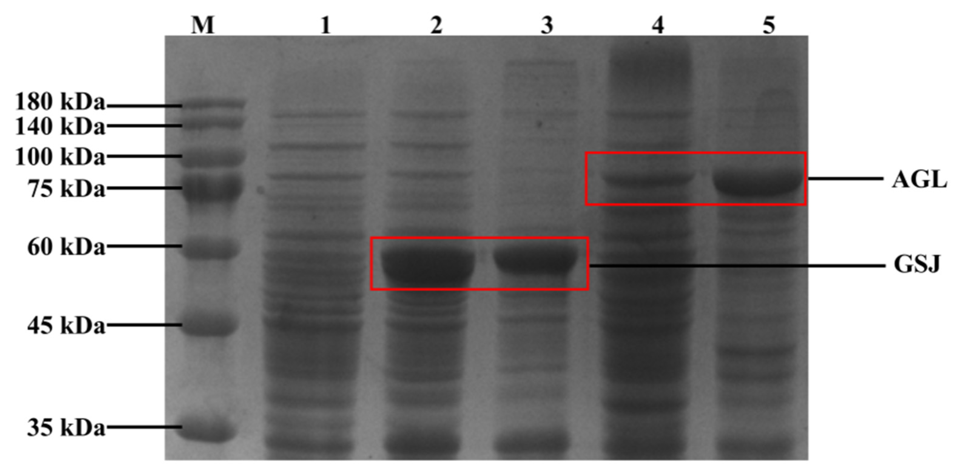 Fermentation 08 00498 g002