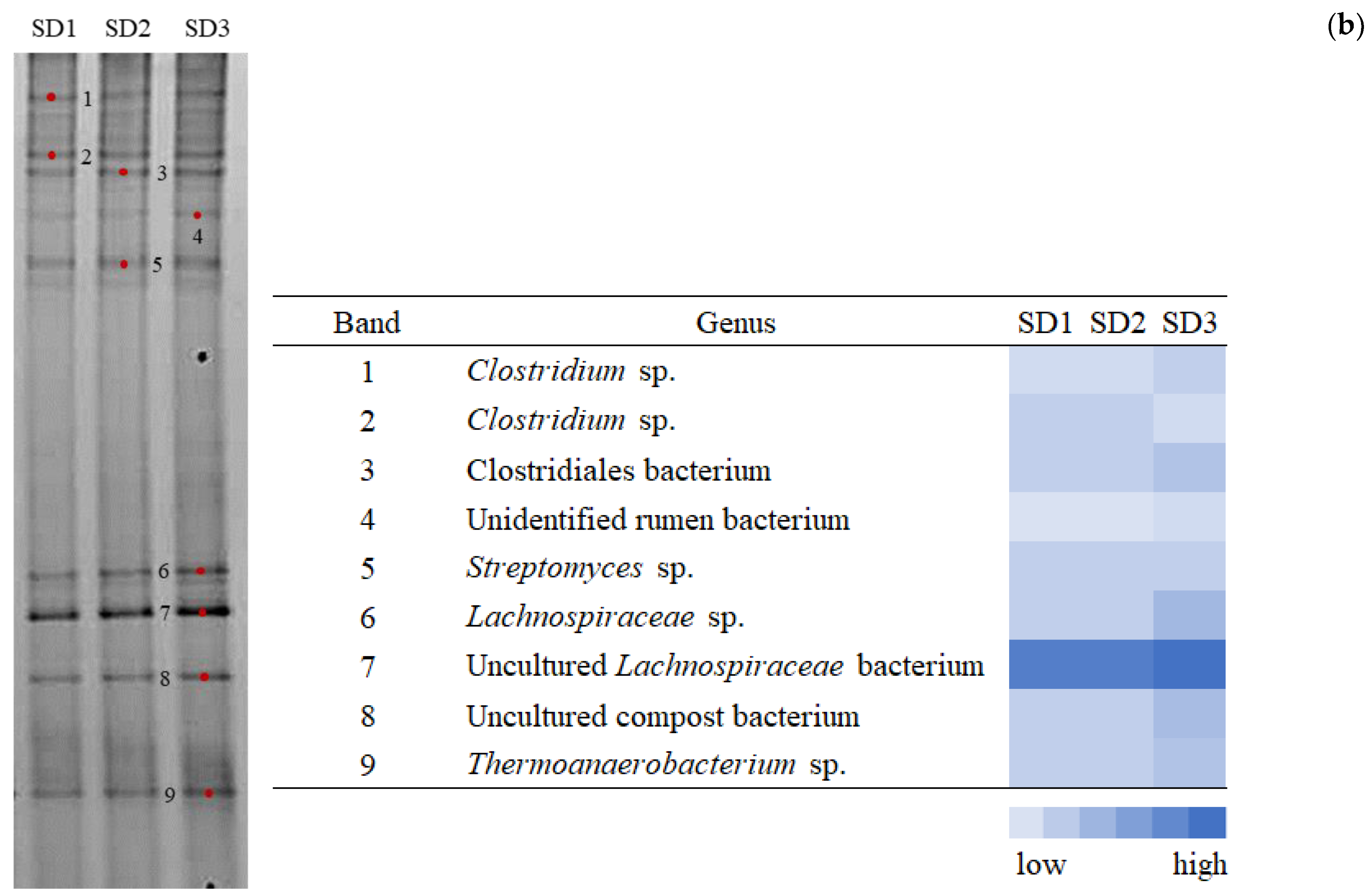 Fermentation 08 00506 g004b