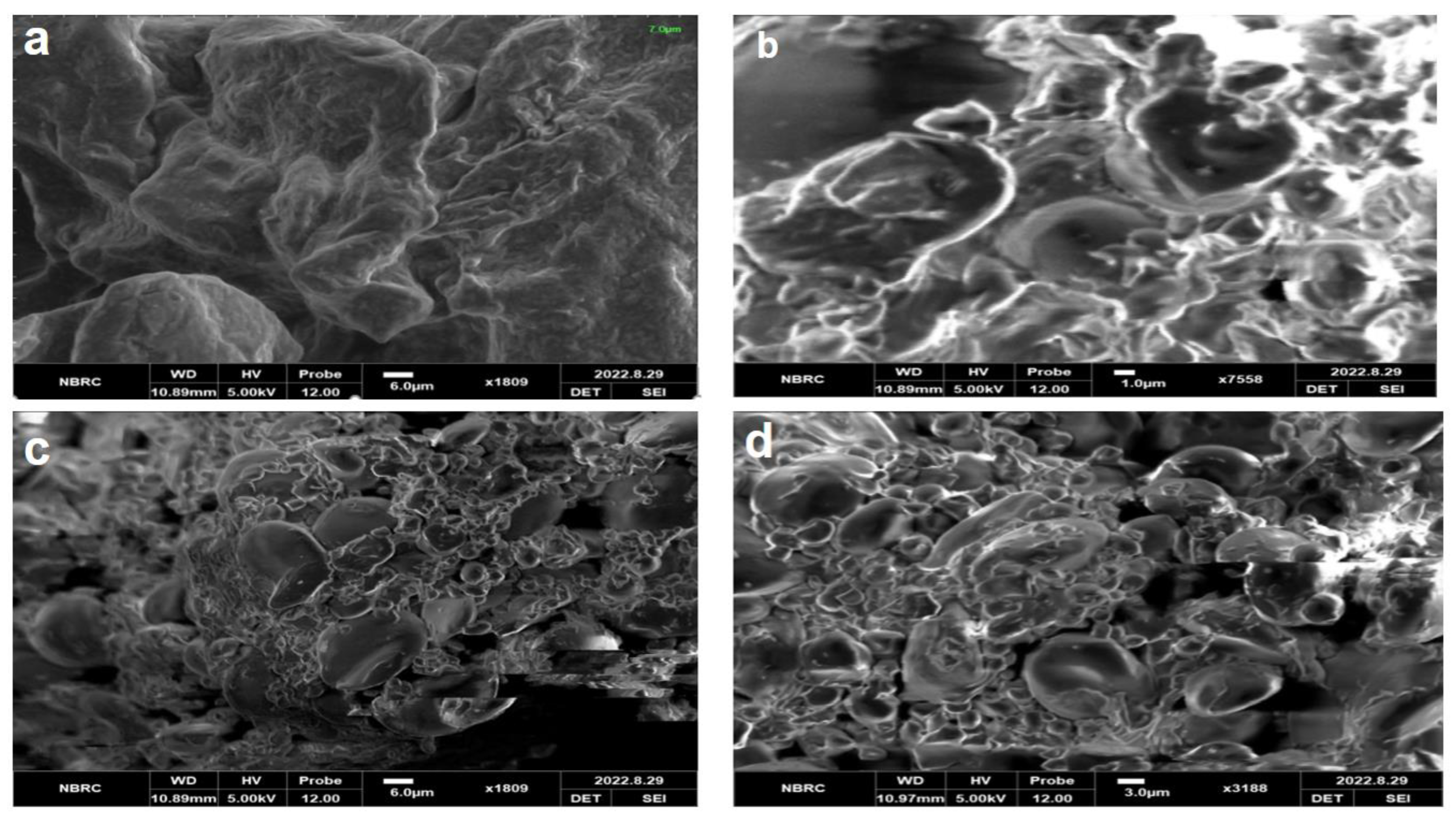 Fermentation 08 00509 g001 Fermentation 08 00509 g001