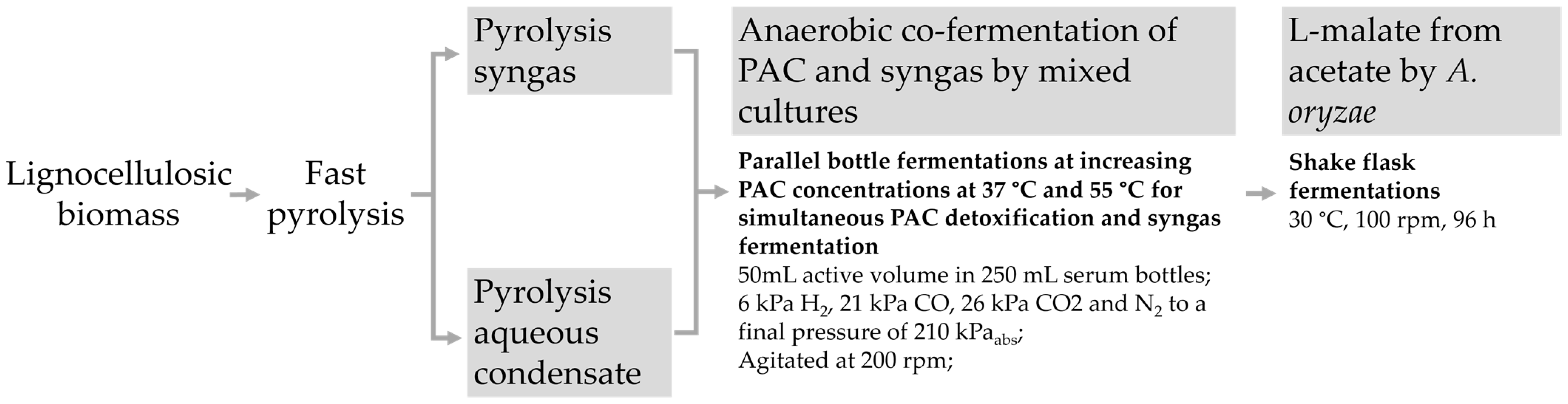 Fermentation 08 00512 g001