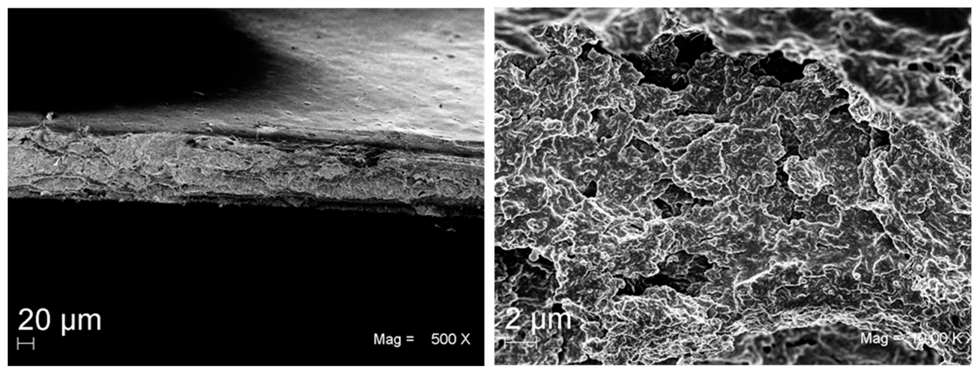 Fermentation 08 00514 g006
