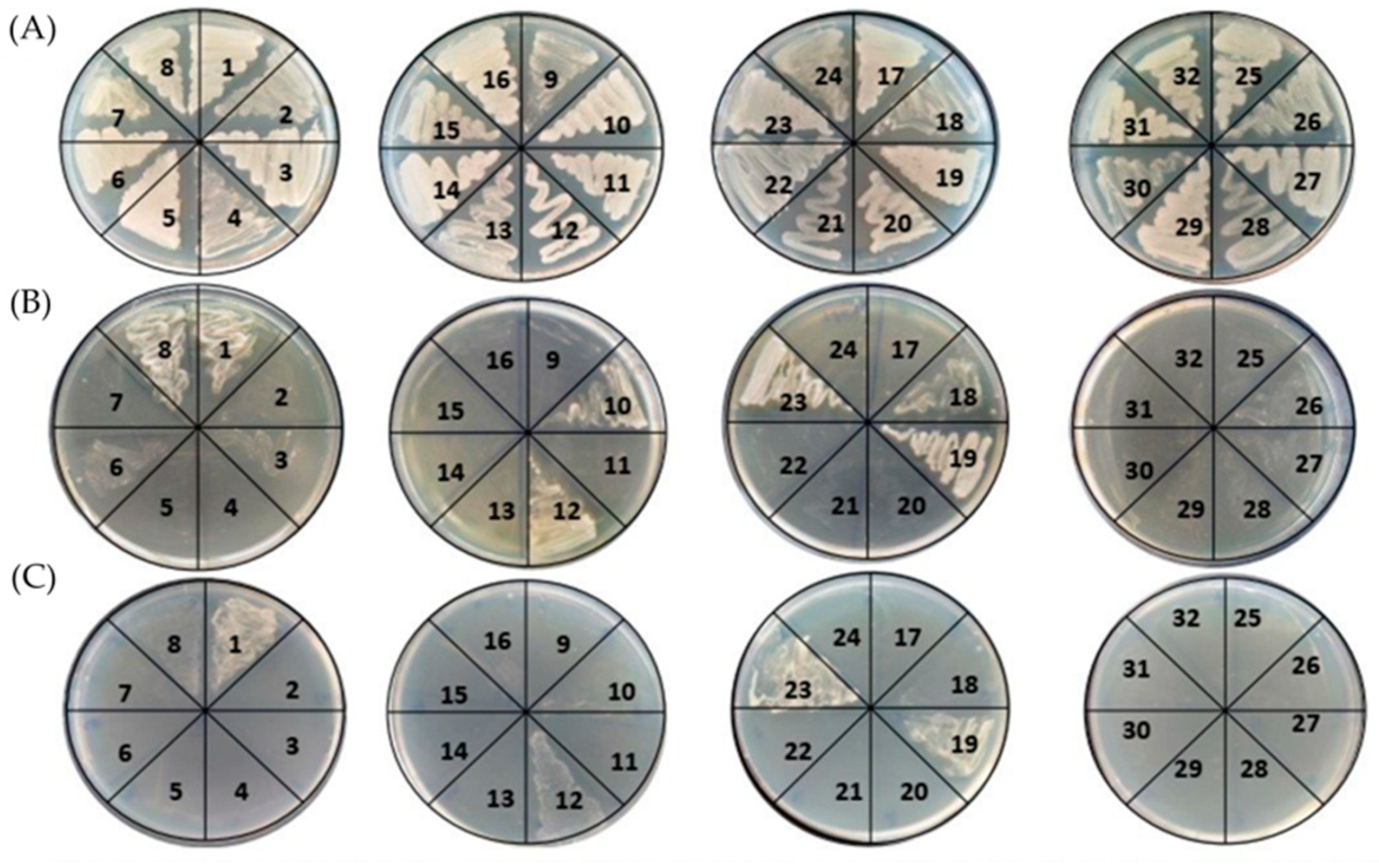 Fermentation 08 00515 g001