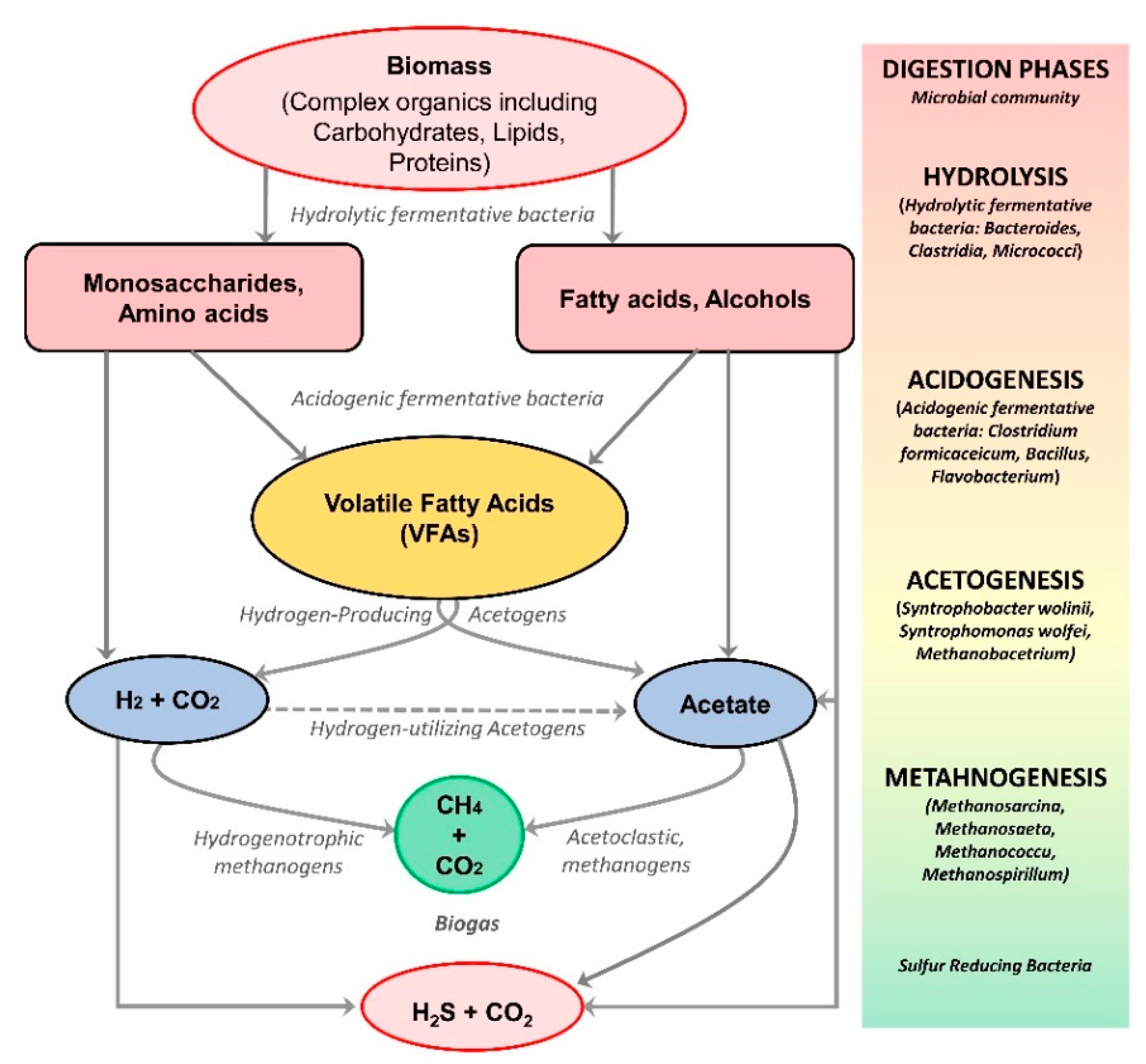Fermentation 08 00520 g002 Fermentation 08 00520 g002
