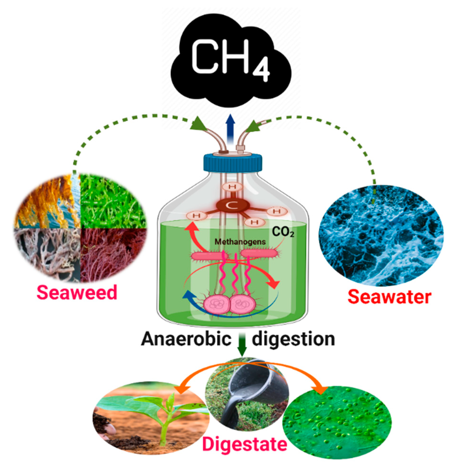 Fermentation 08 00520 g003 Fermentation 08 00520 g003