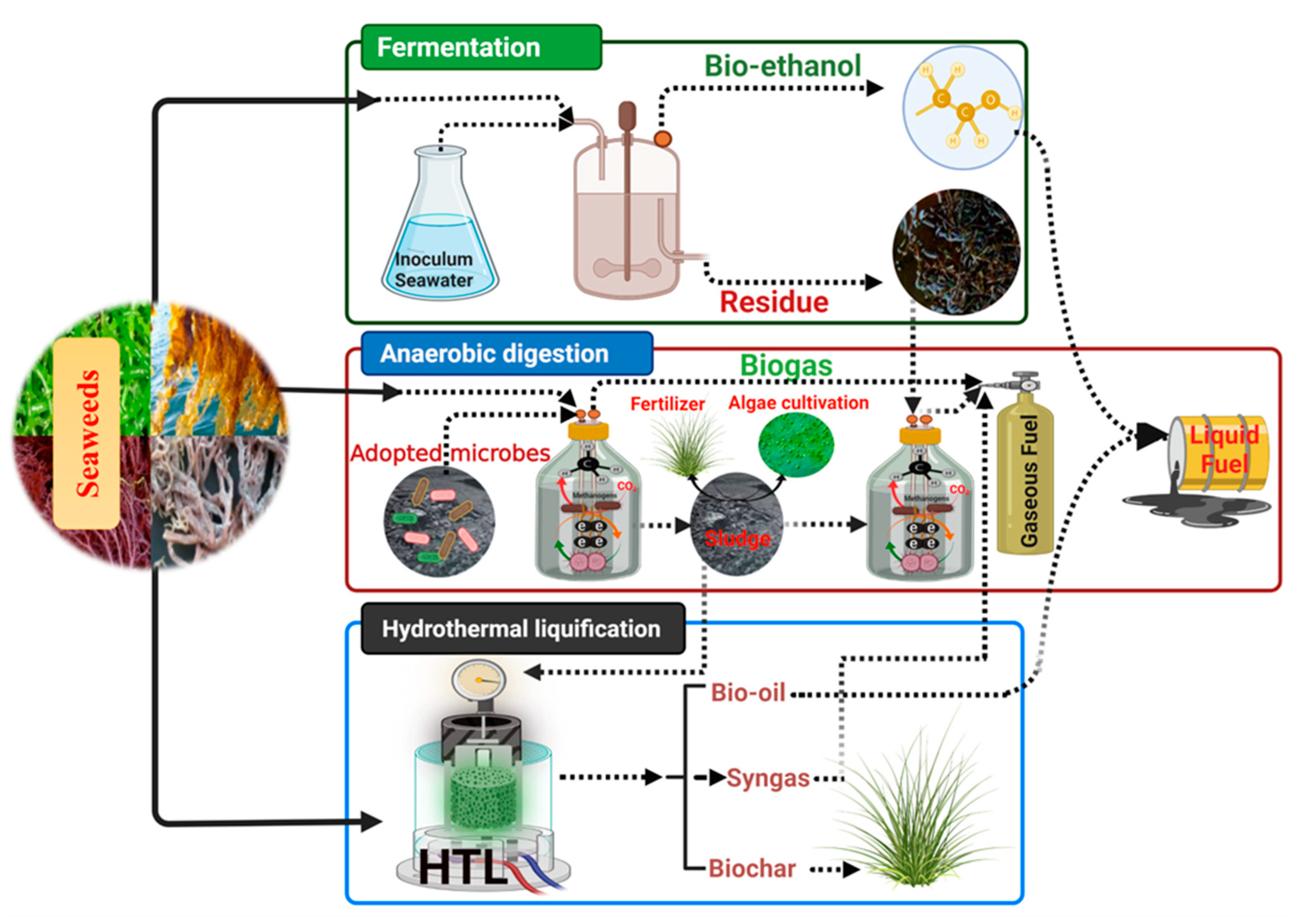 Fermentation 08 00520 g004 Fermentation 08 00520 g004