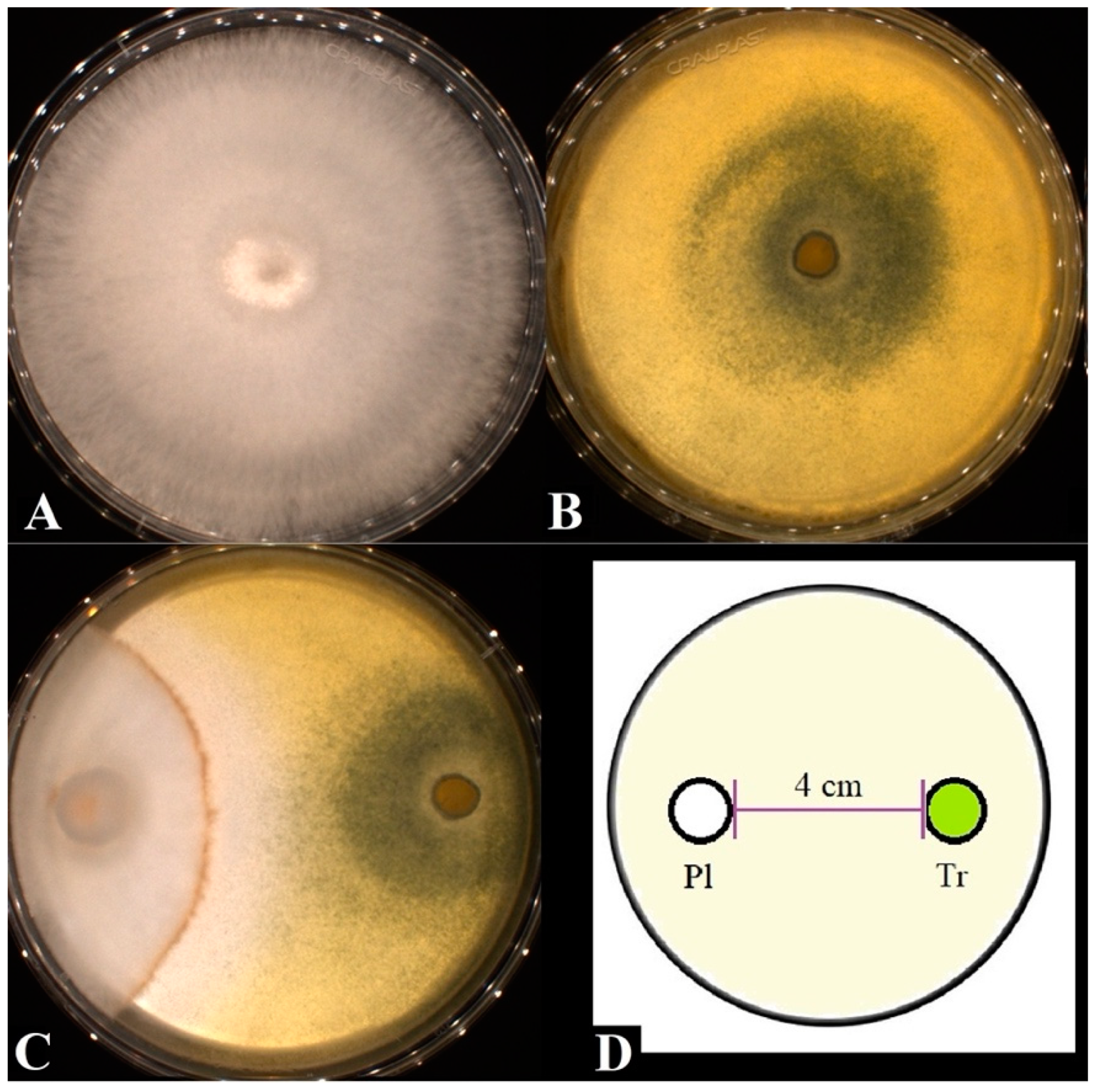 Fermentation 08 00522 g001 Fermentation 08 00522 g001