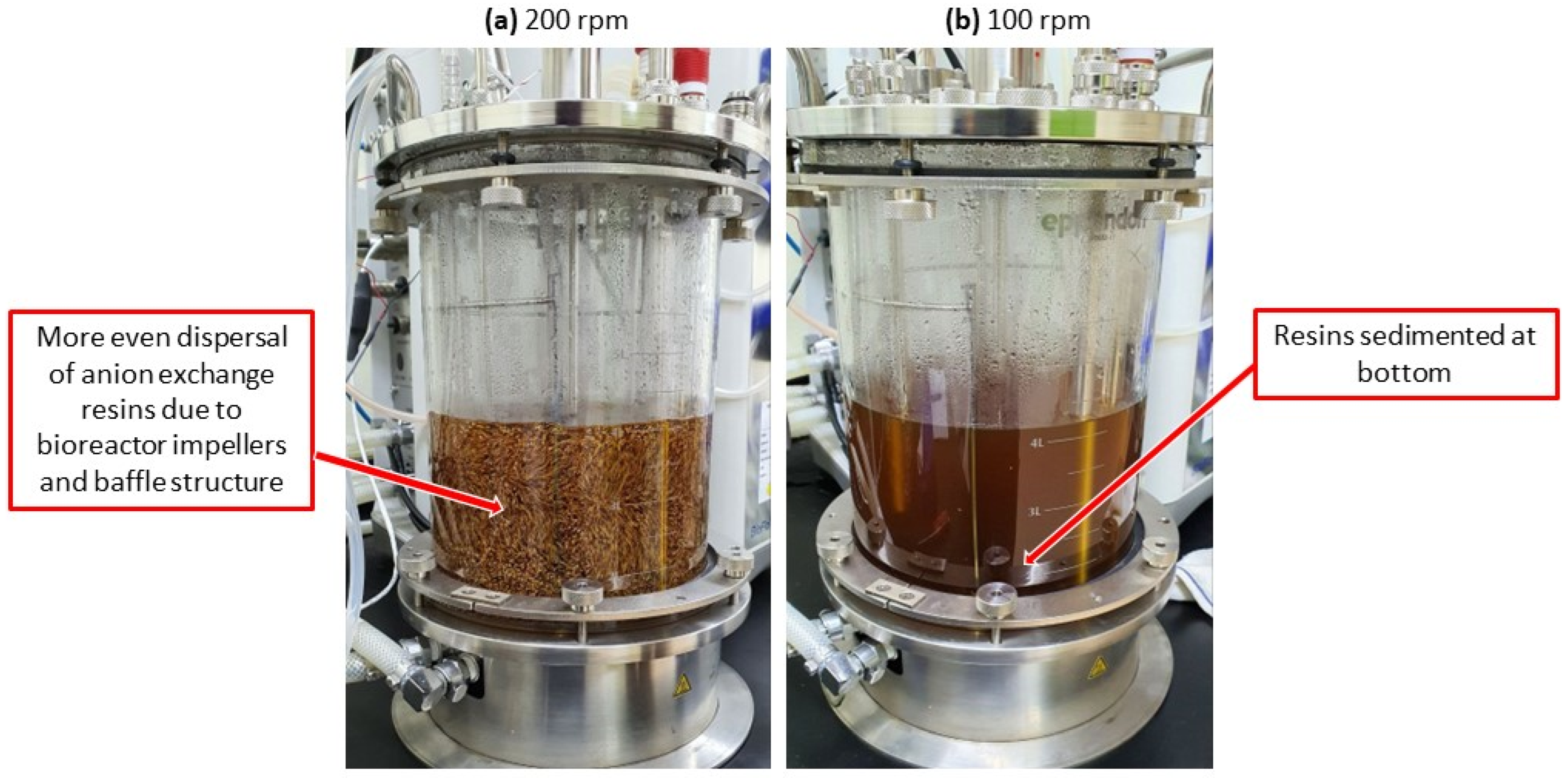 Fermentation 08 00527 g002