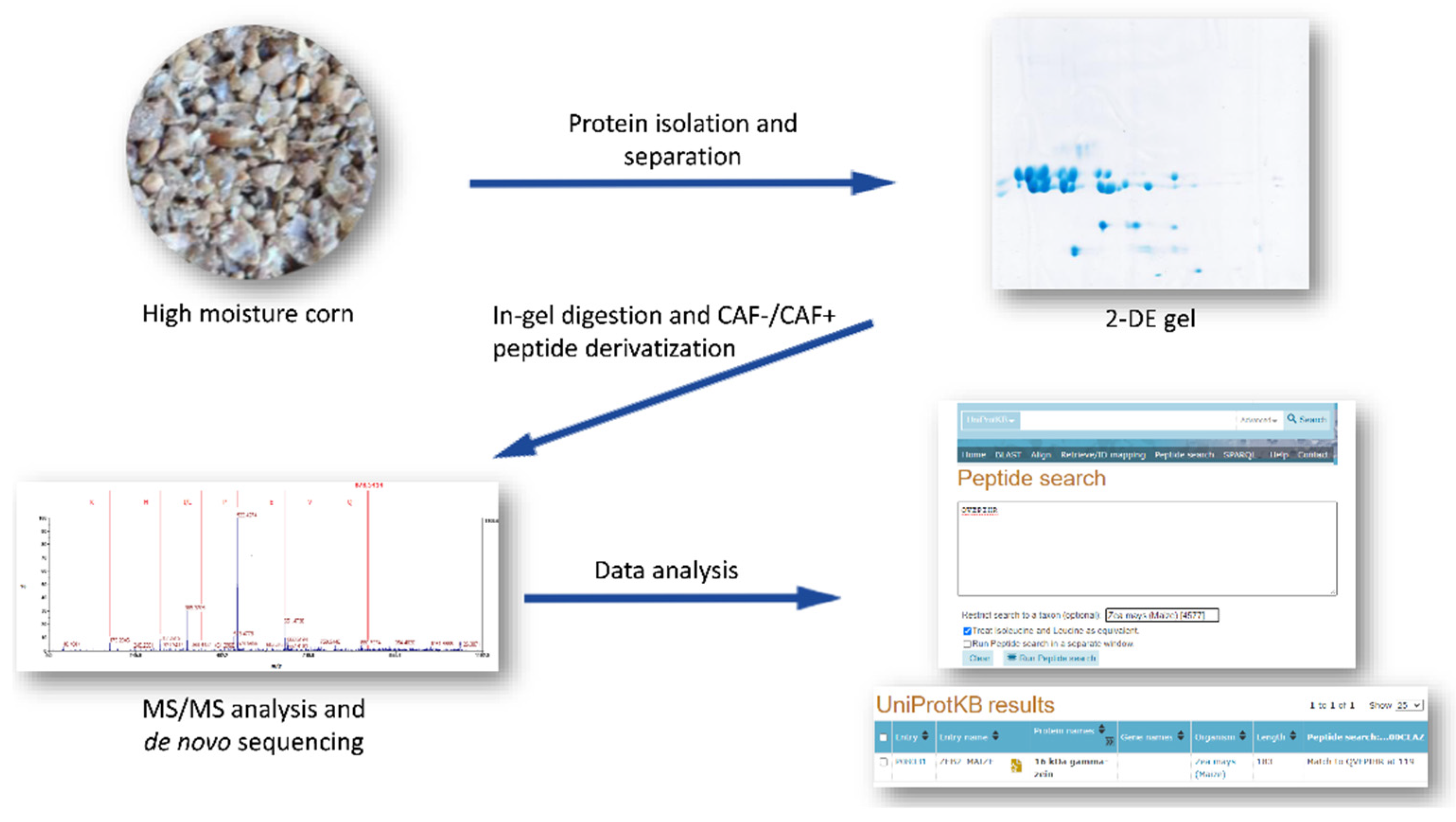 Fermentation 08 00551 g001