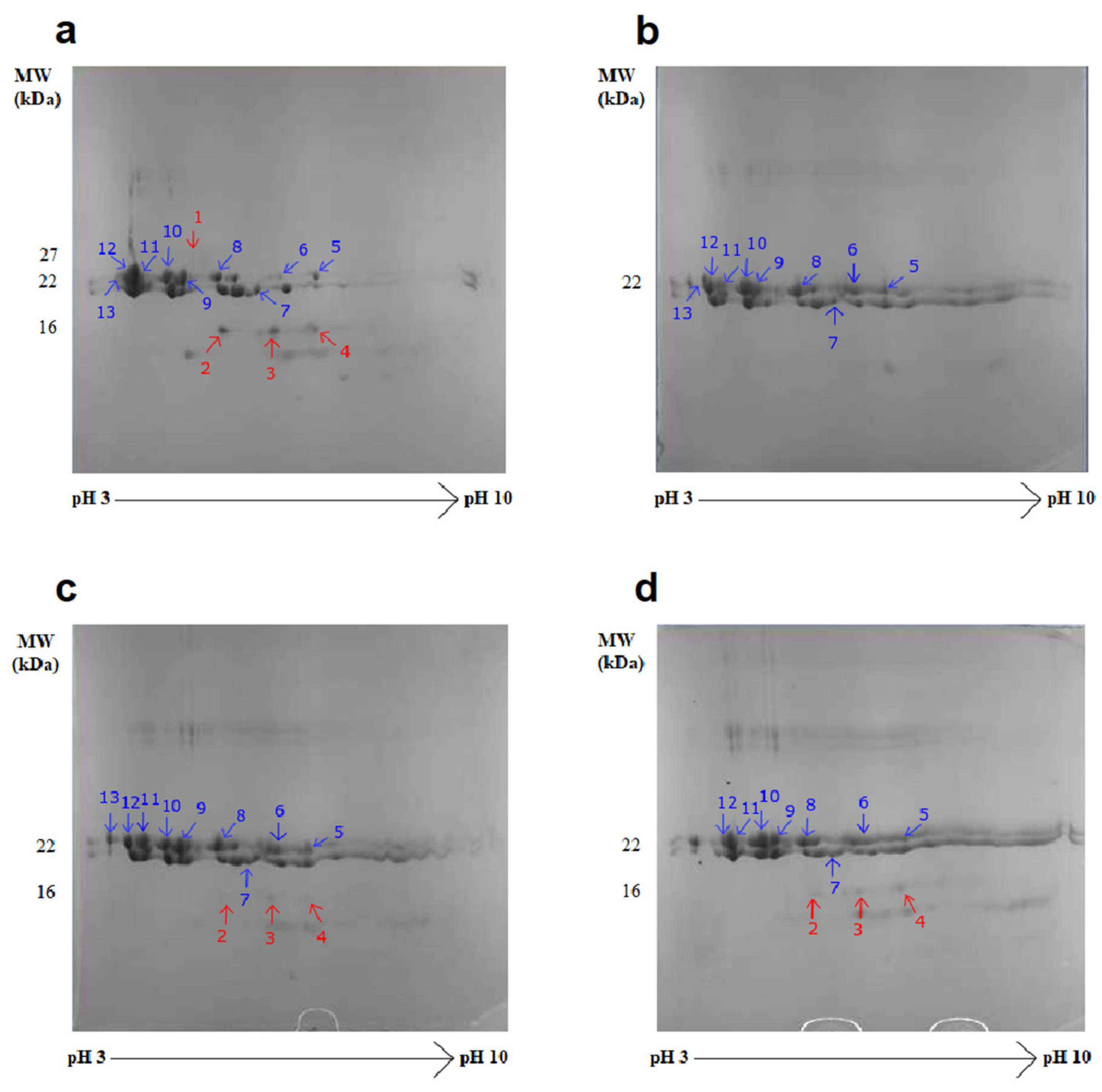 Fermentation 08 00551 g004