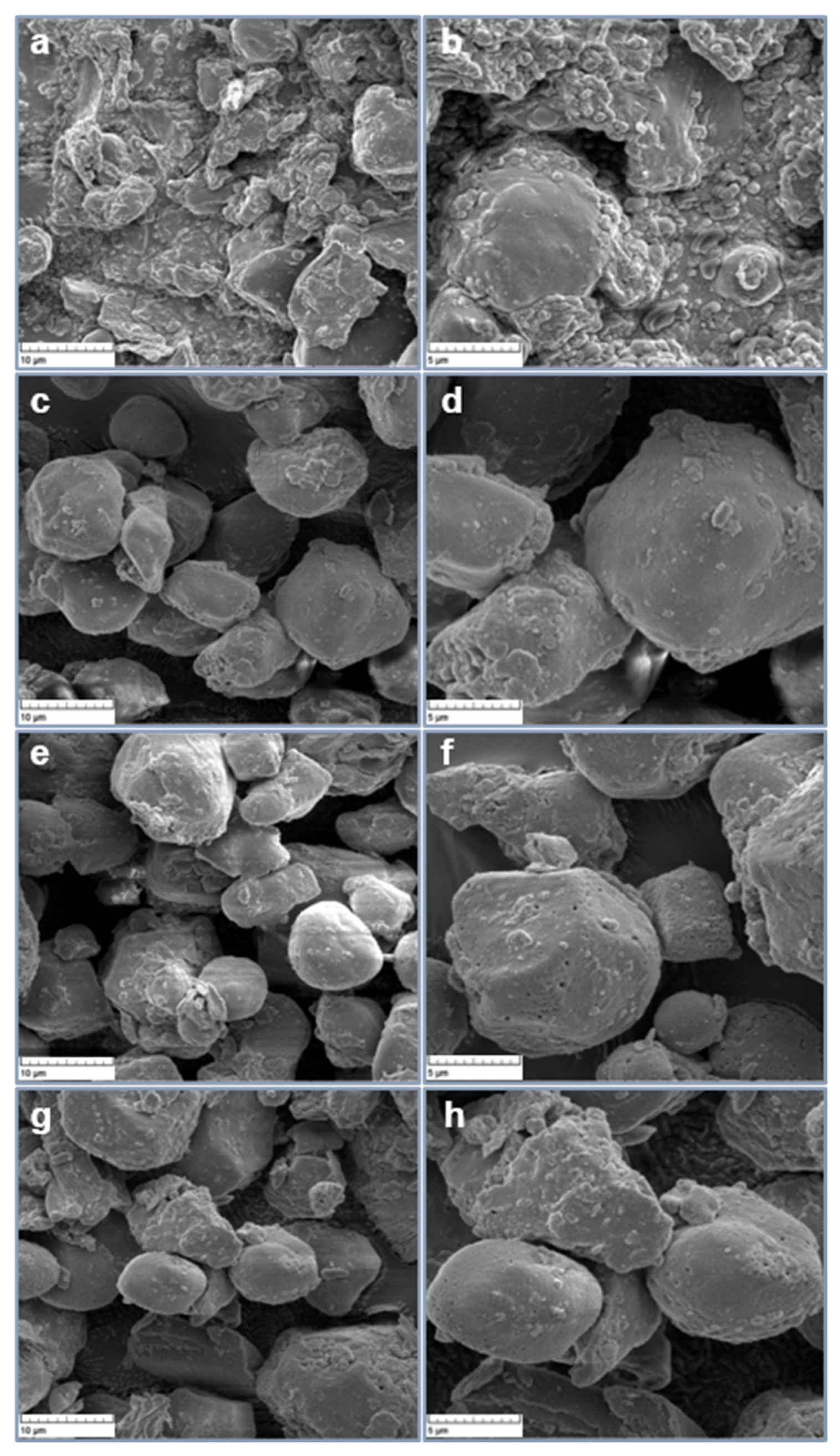 Fermentation 08 00551 g007