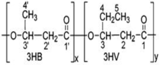Fermentation 08 00556 i001