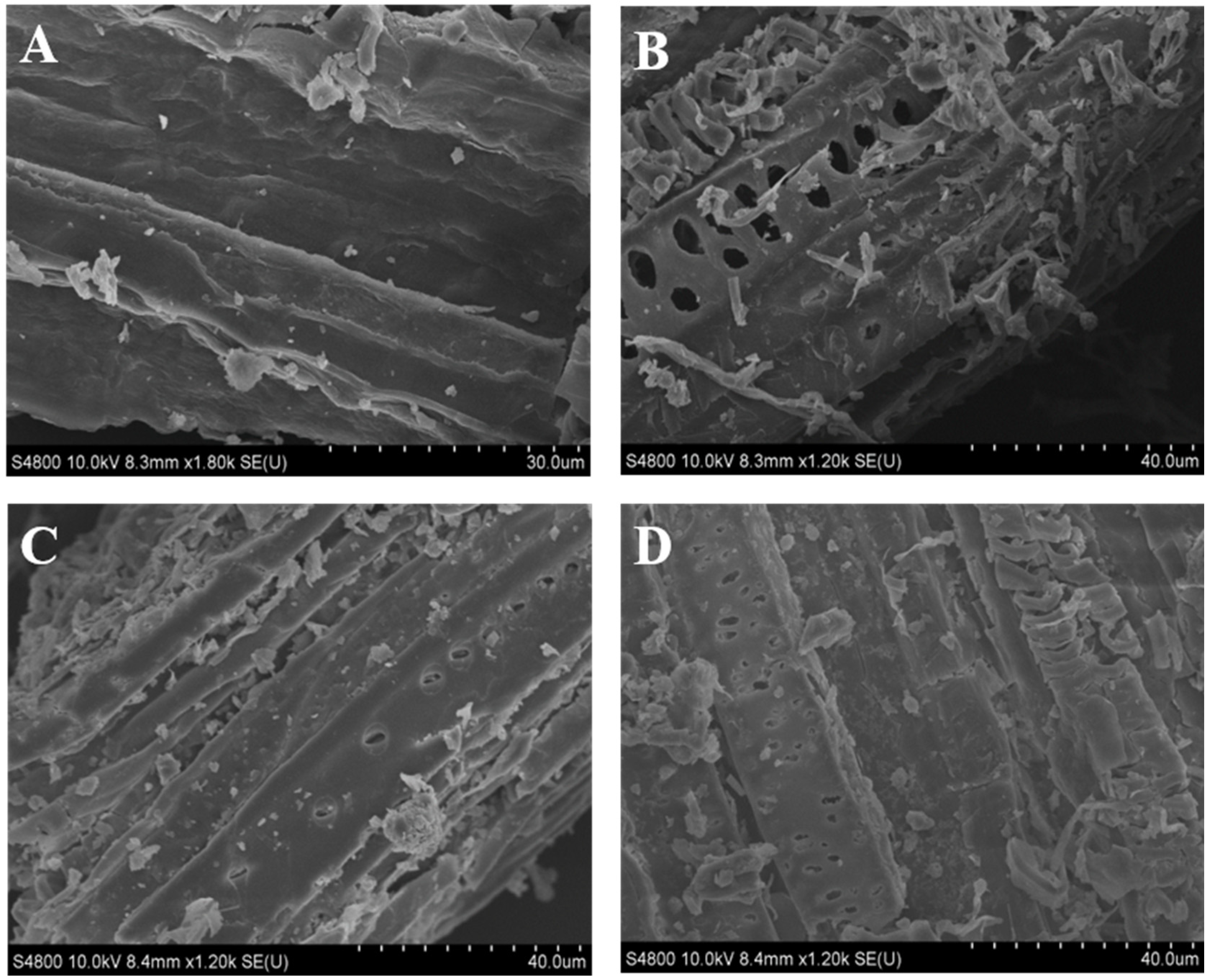 Fermentation 08 00557 g001