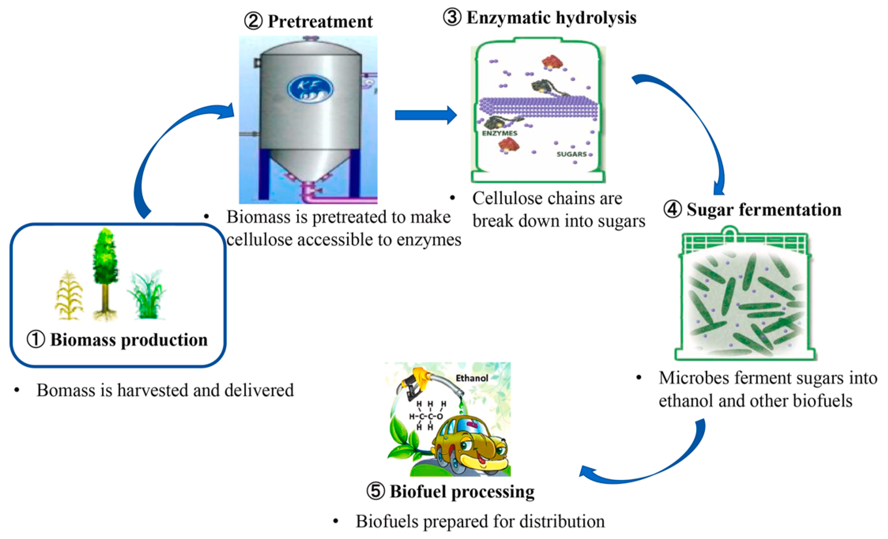 Fermentation Free FullText Improve Enzymatic Hydrolysis of