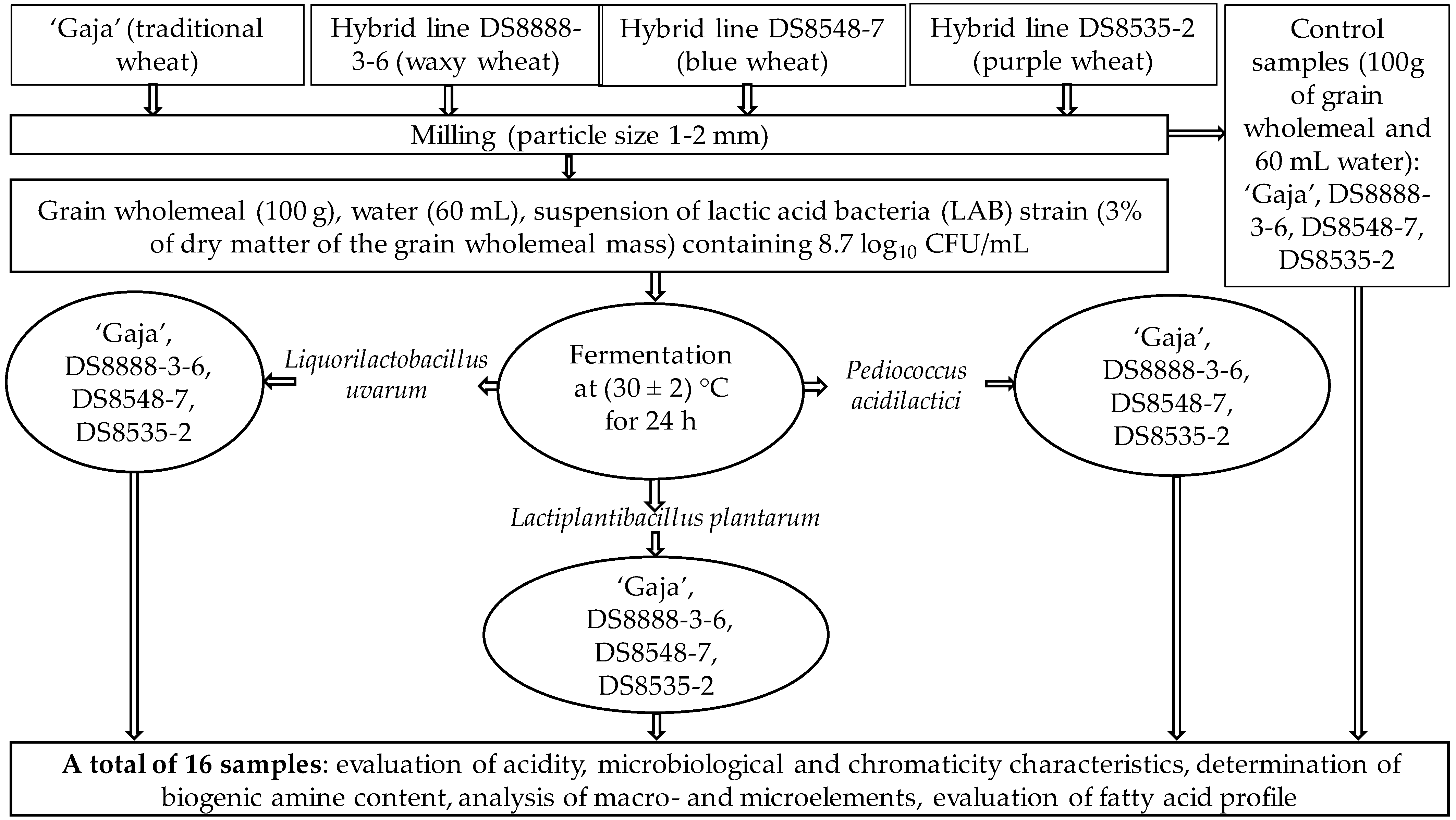 Fermentation 08 00563 g001