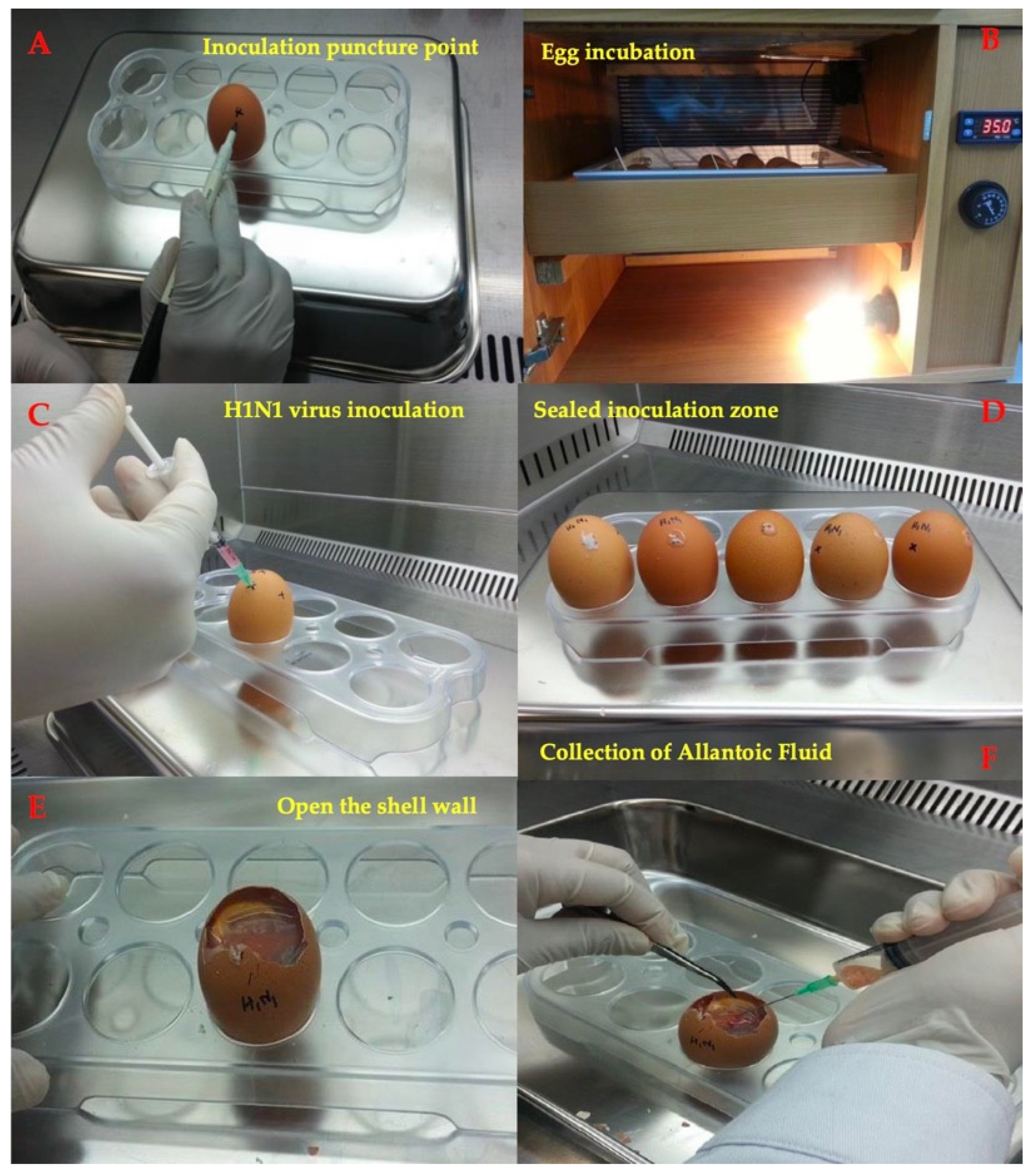 Fermentation 08 00572 g001 Fermentation 08 00572 g001