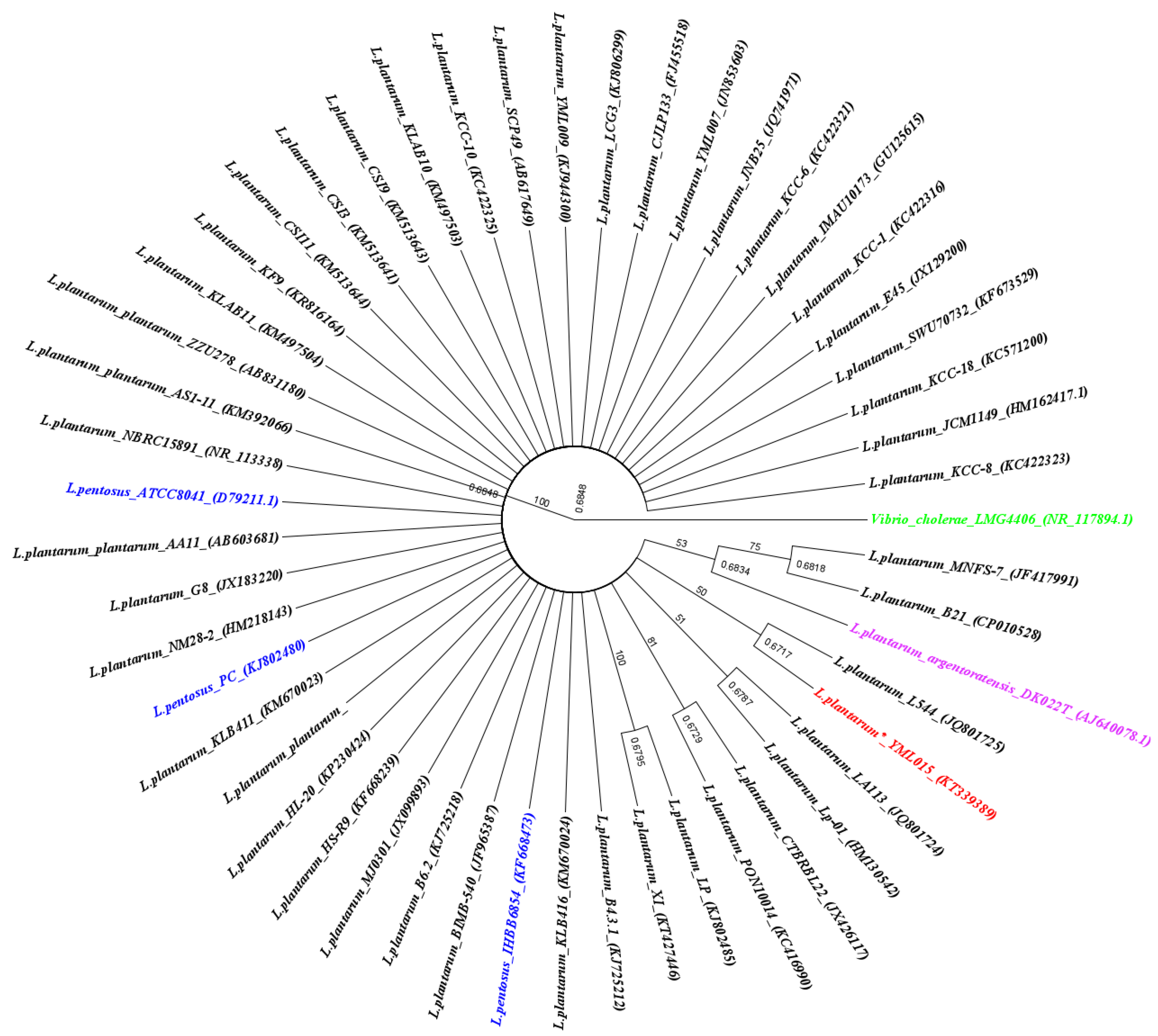 Fermentation 08 00572 g002 Fermentation 08 00572 g002
