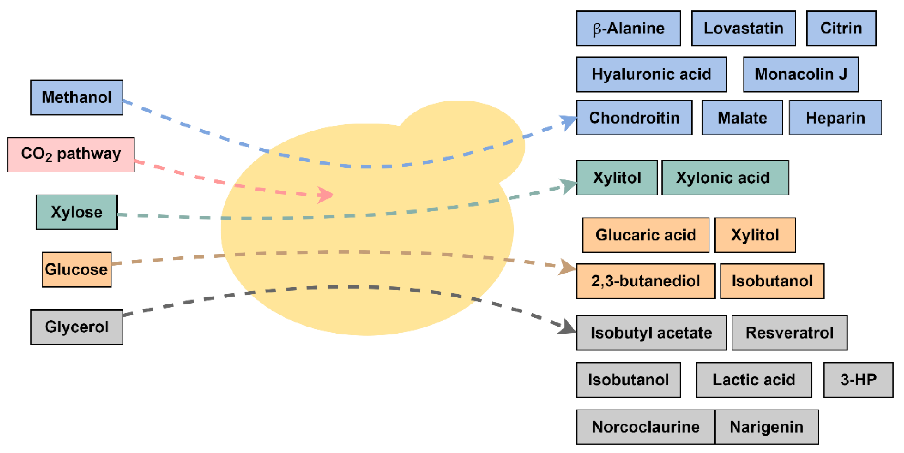 Fermentation 08 00575 g001 Fermentation 08 00575 g001