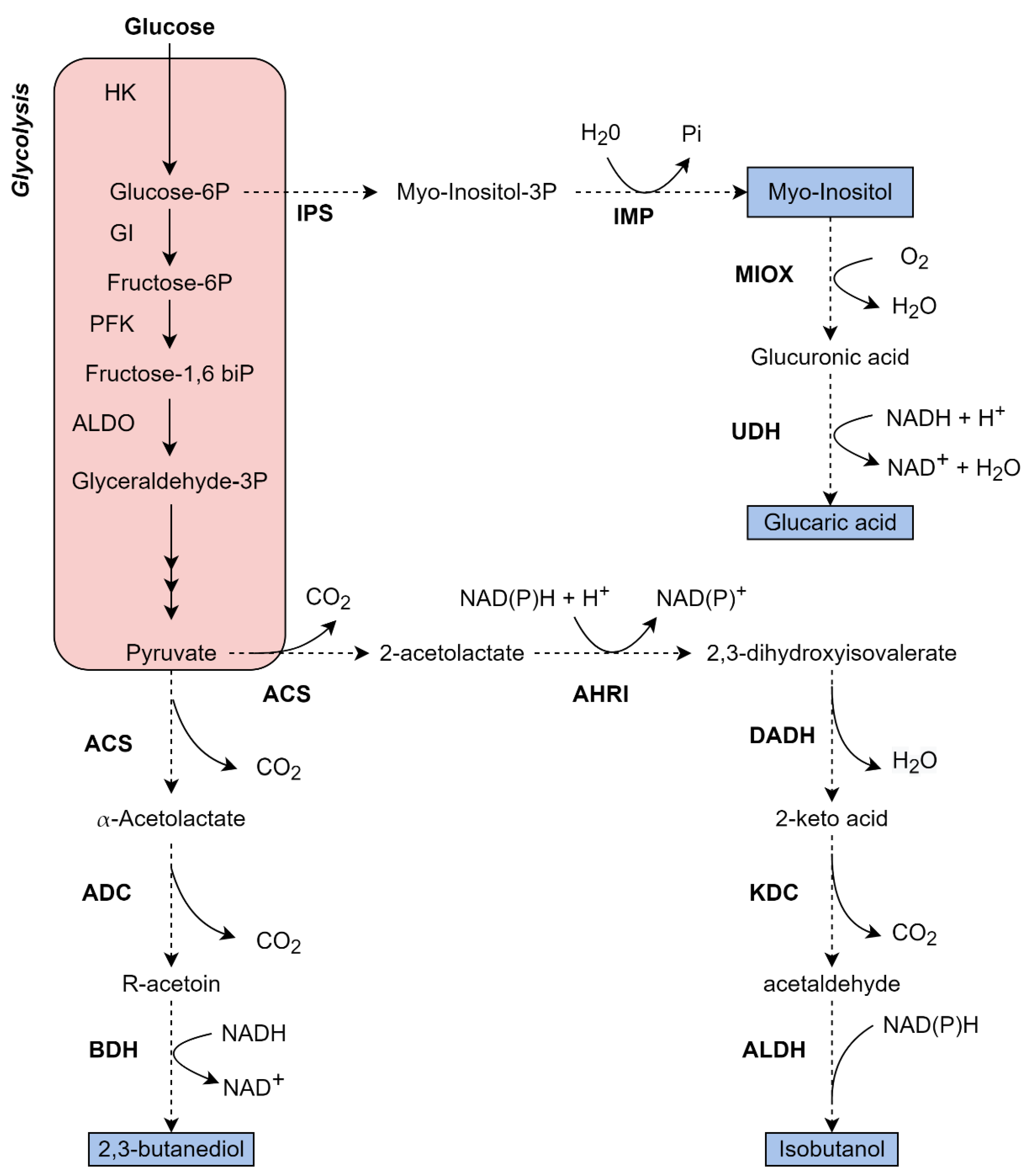 Fermentation 08 00575 g003 Fermentation 08 00575 g003