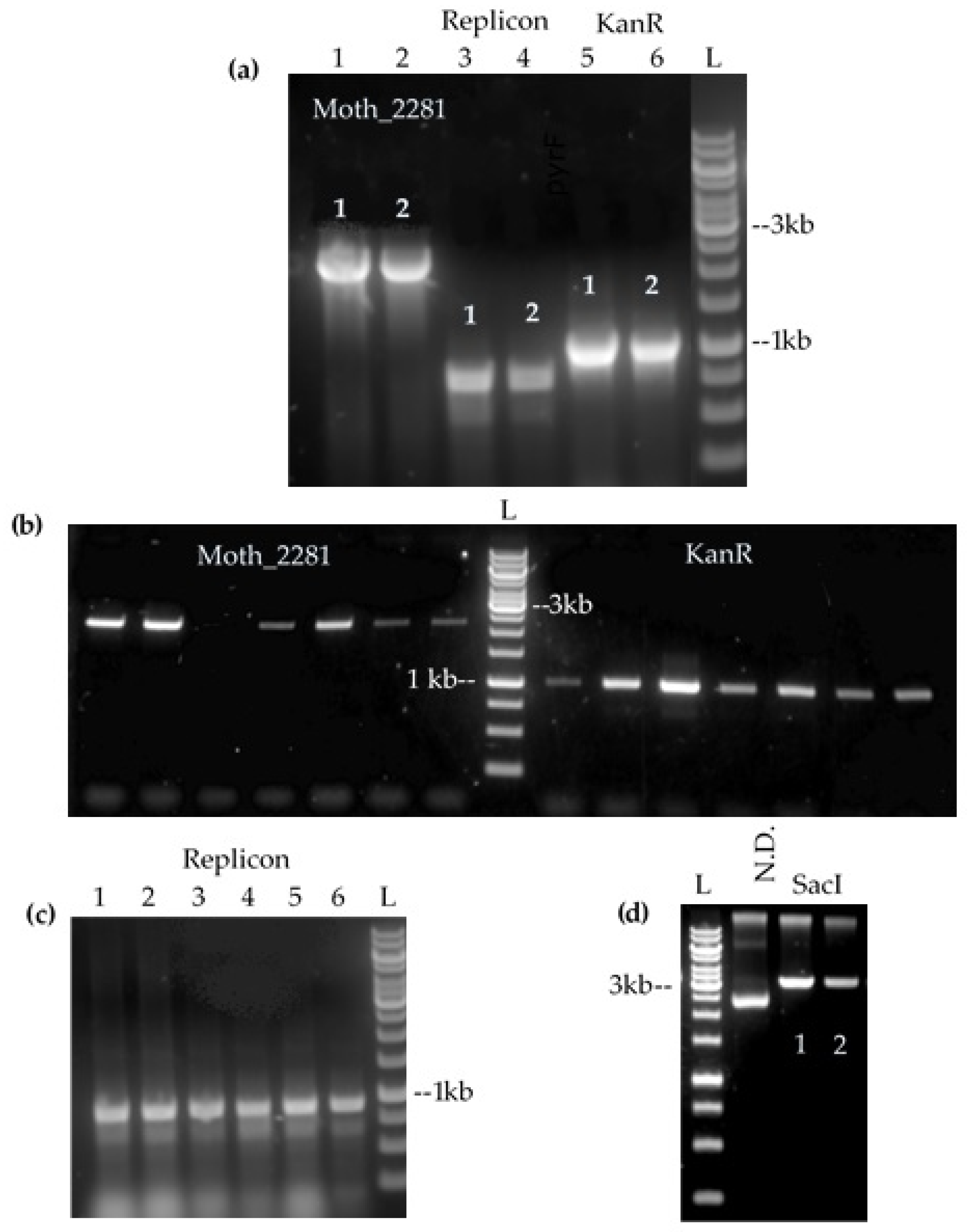 Fermentation 08 00585 g001 Fermentation 08 00585 g001