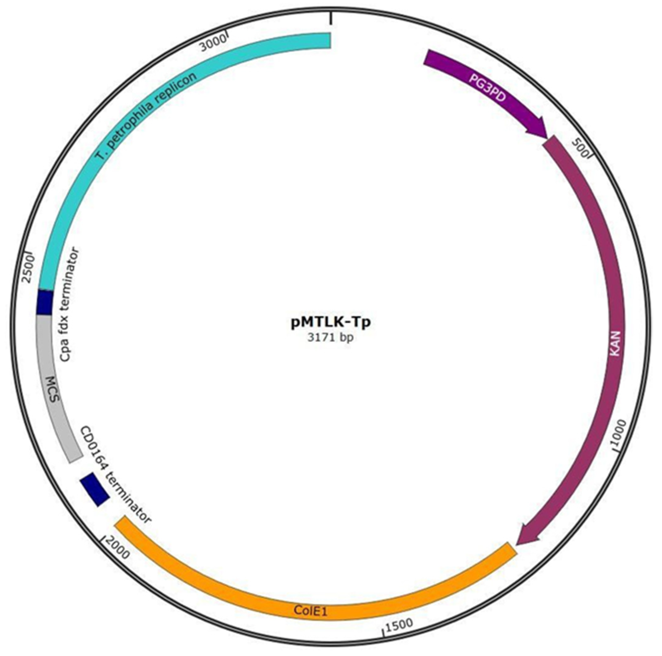 Fermentation 08 00585 g002 Fermentation 08 00585 g002