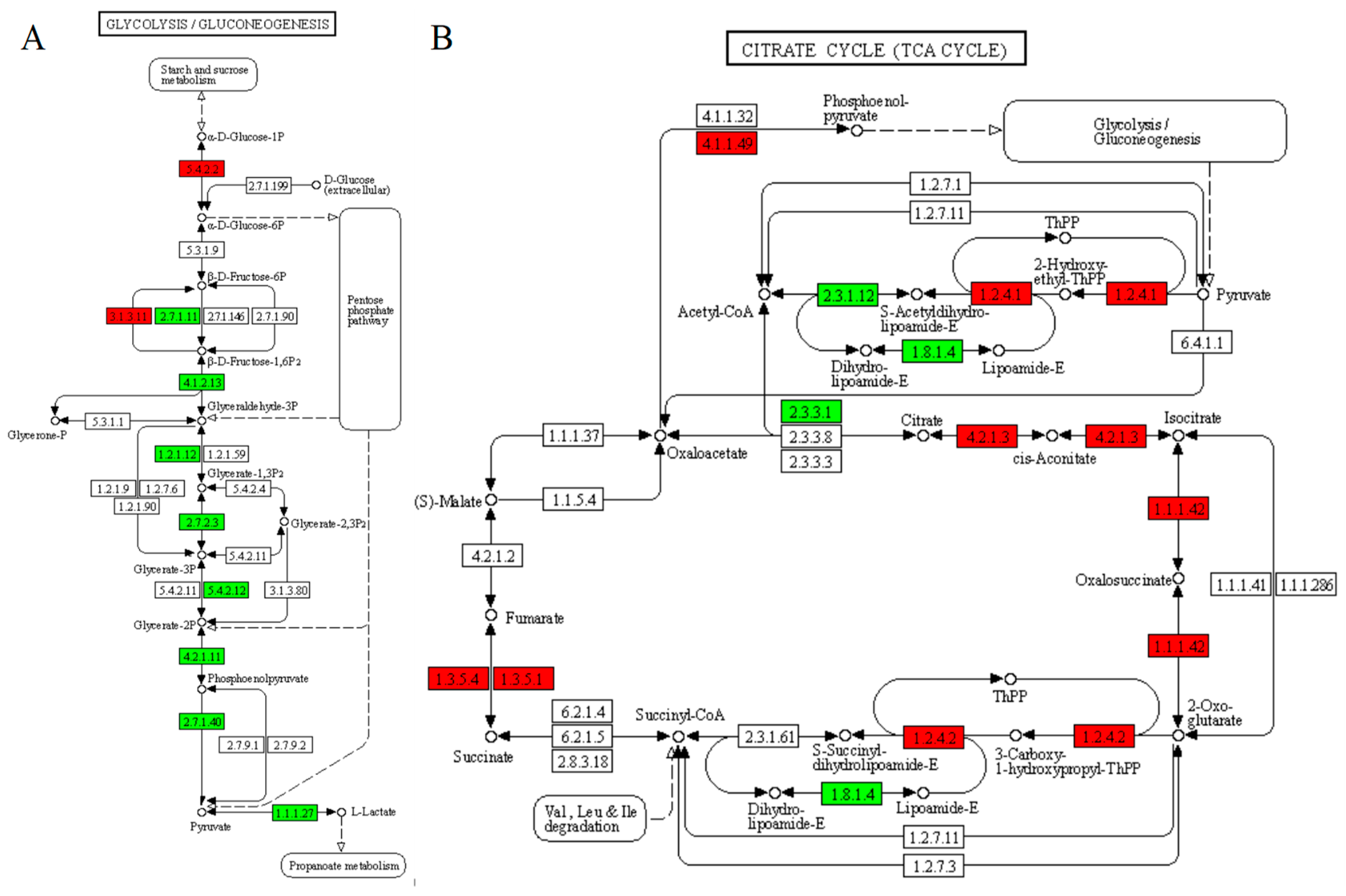 Fermentation 08 00593 g007 Fermentation 08 00593 g007