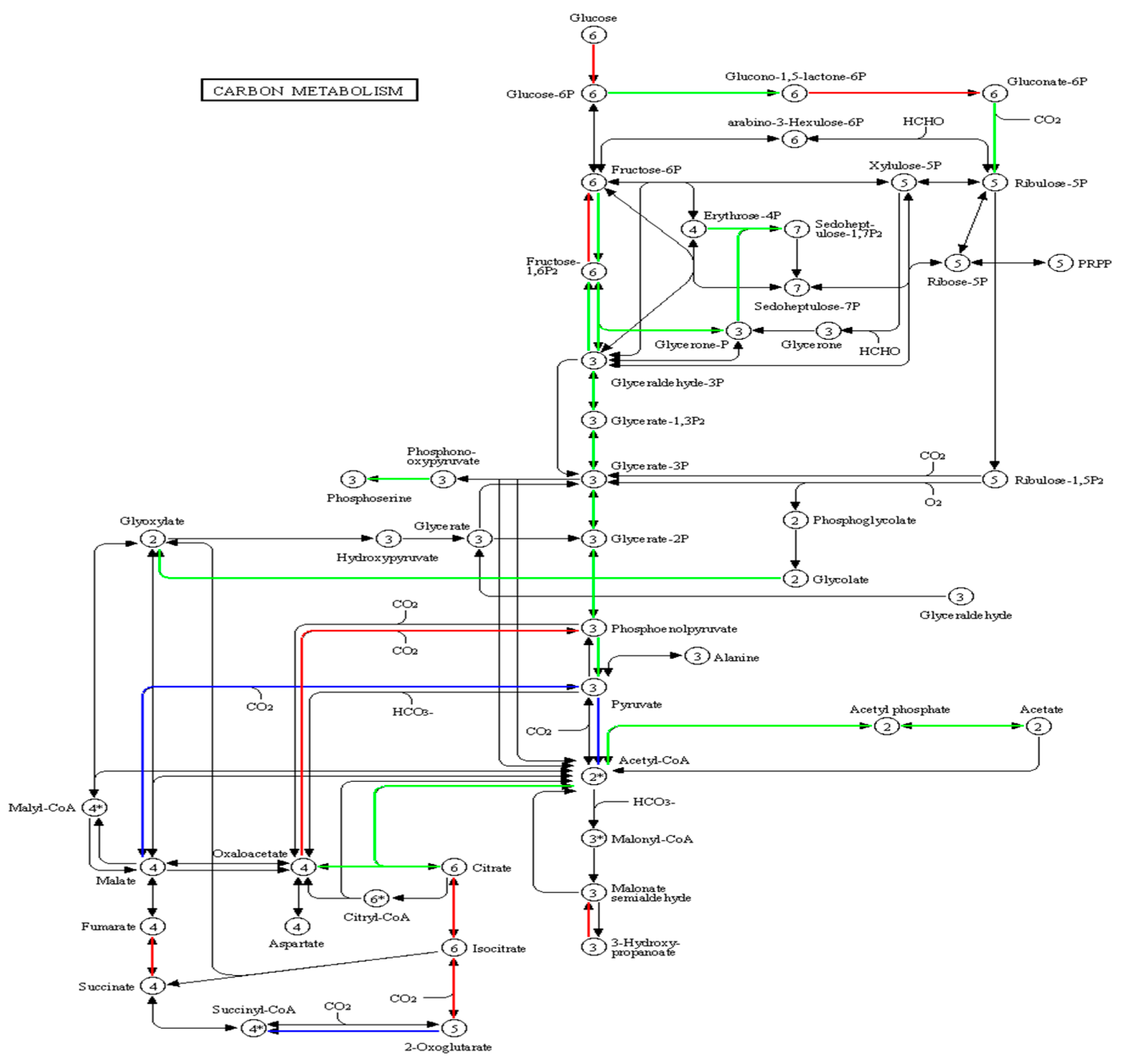 Fermentation 08 00593 g008 Fermentation 08 00593 g008