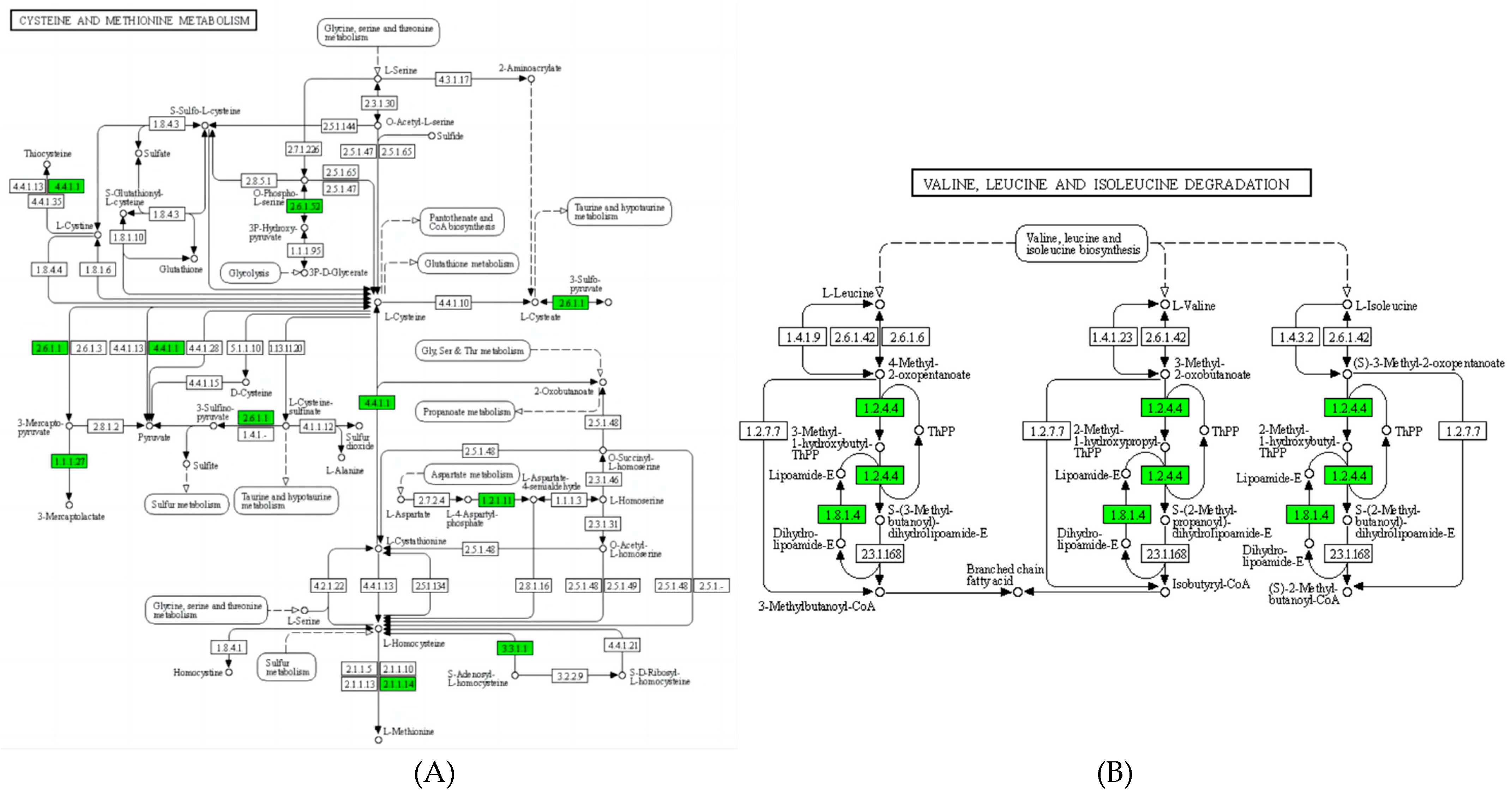 Fermentation 08 00593 g009 Fermentation 08 00593 g009