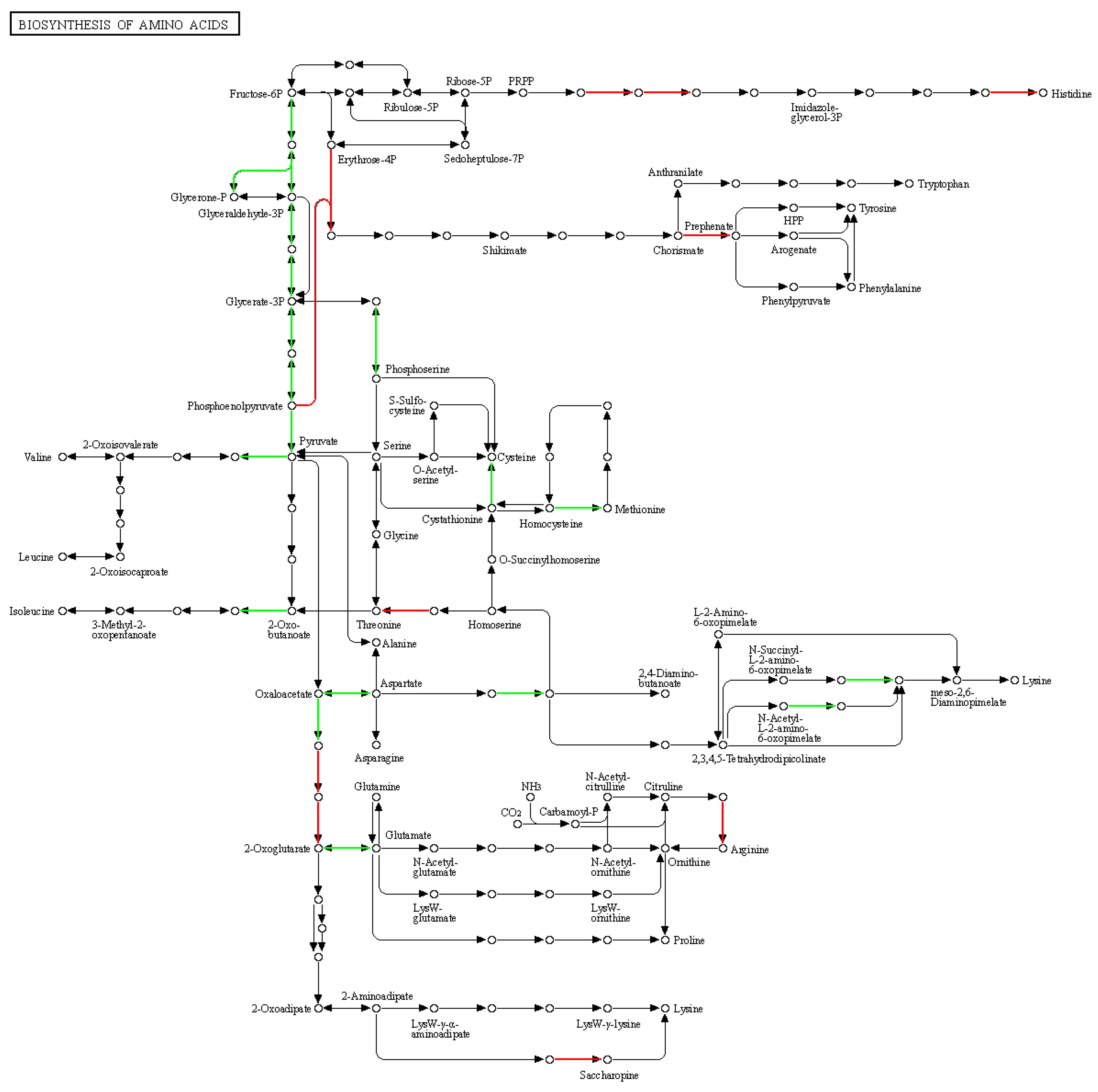 Fermentation 08 00593 g011 Fermentation 08 00593 g011