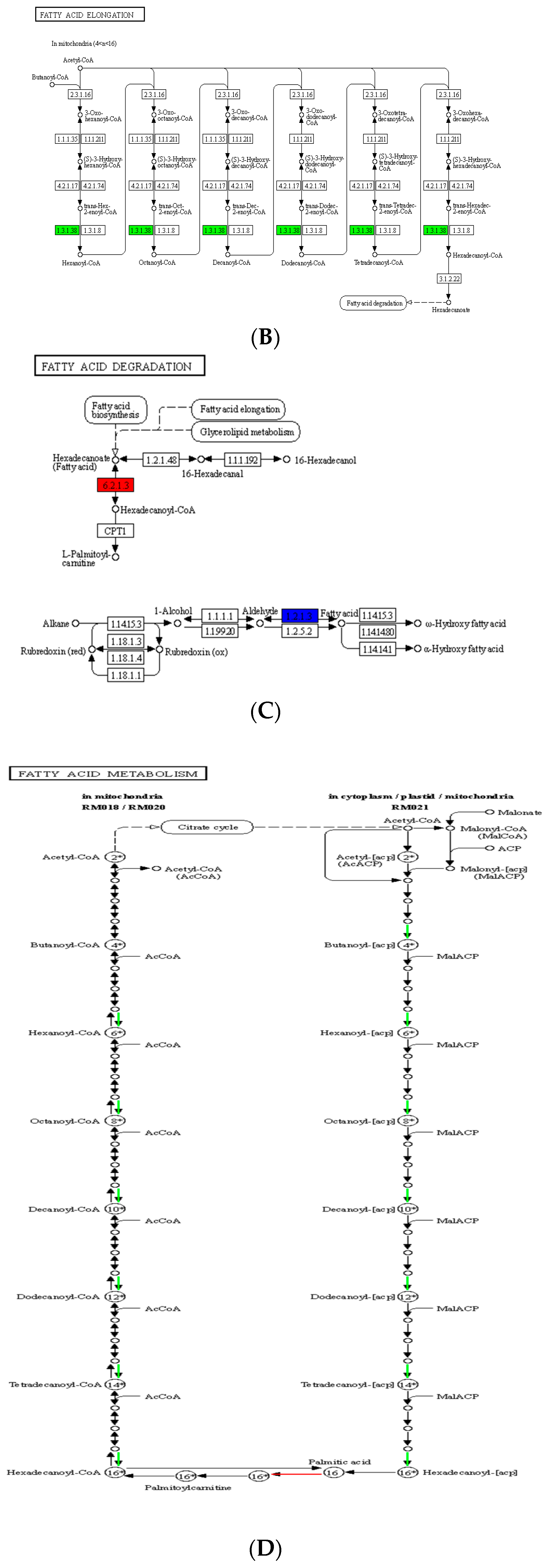 Fermentation 08 00593 g012b Fermentation 08 00593 g012b