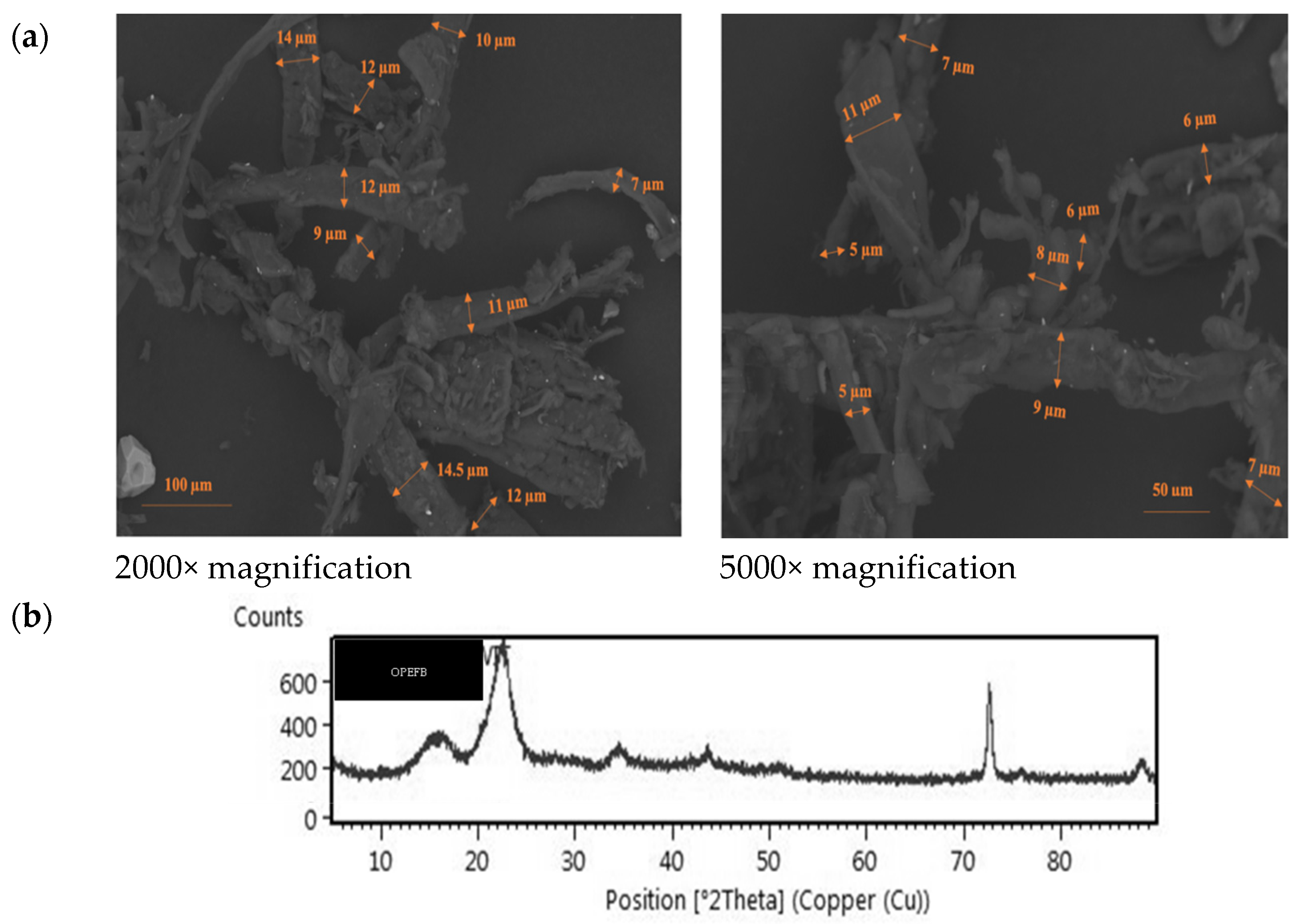 Fermentation 08 00602 g002 Fermentation 08 00602 g002