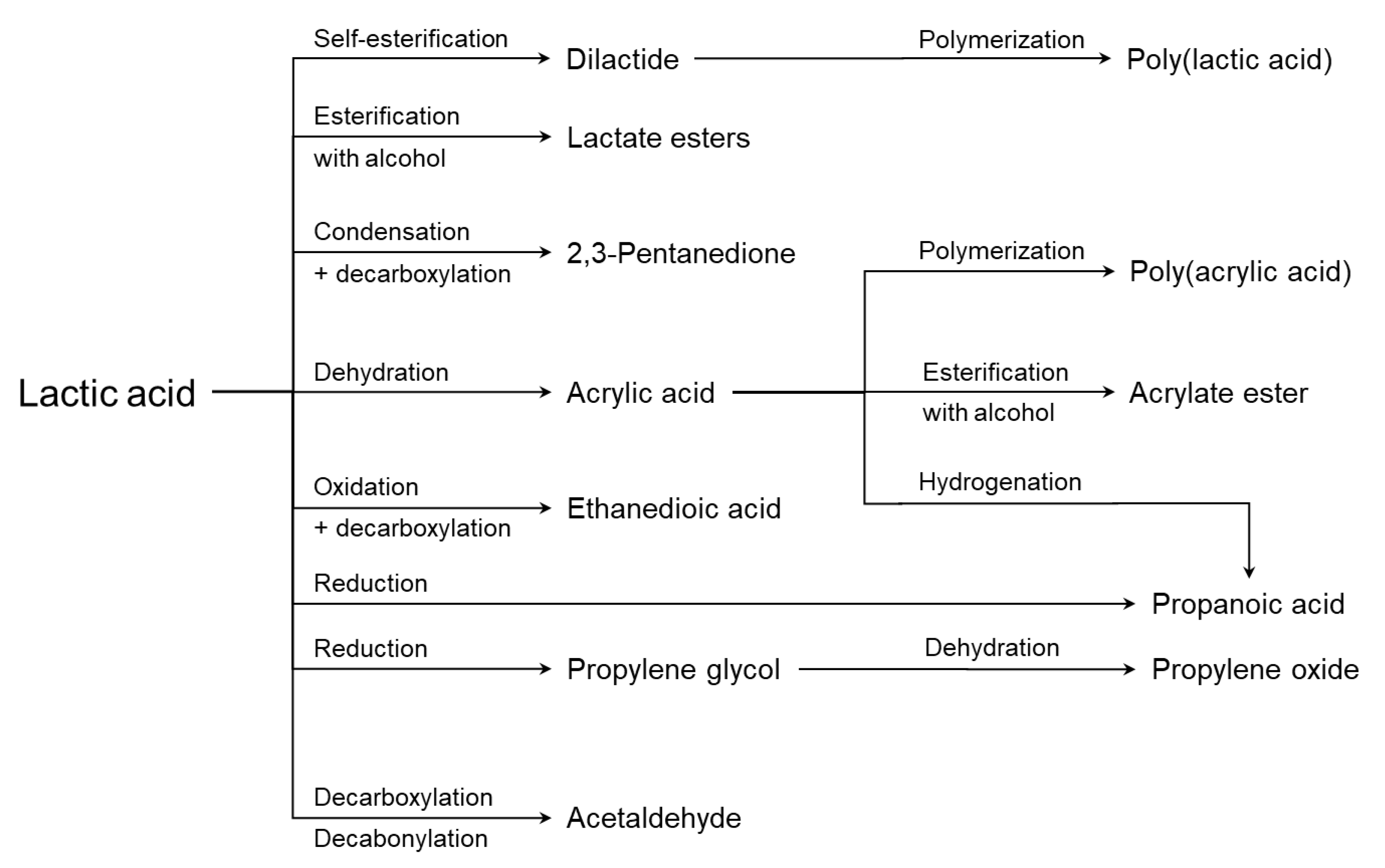 Fermentation 08 00609 g003 Fermentation 08 00609 g003