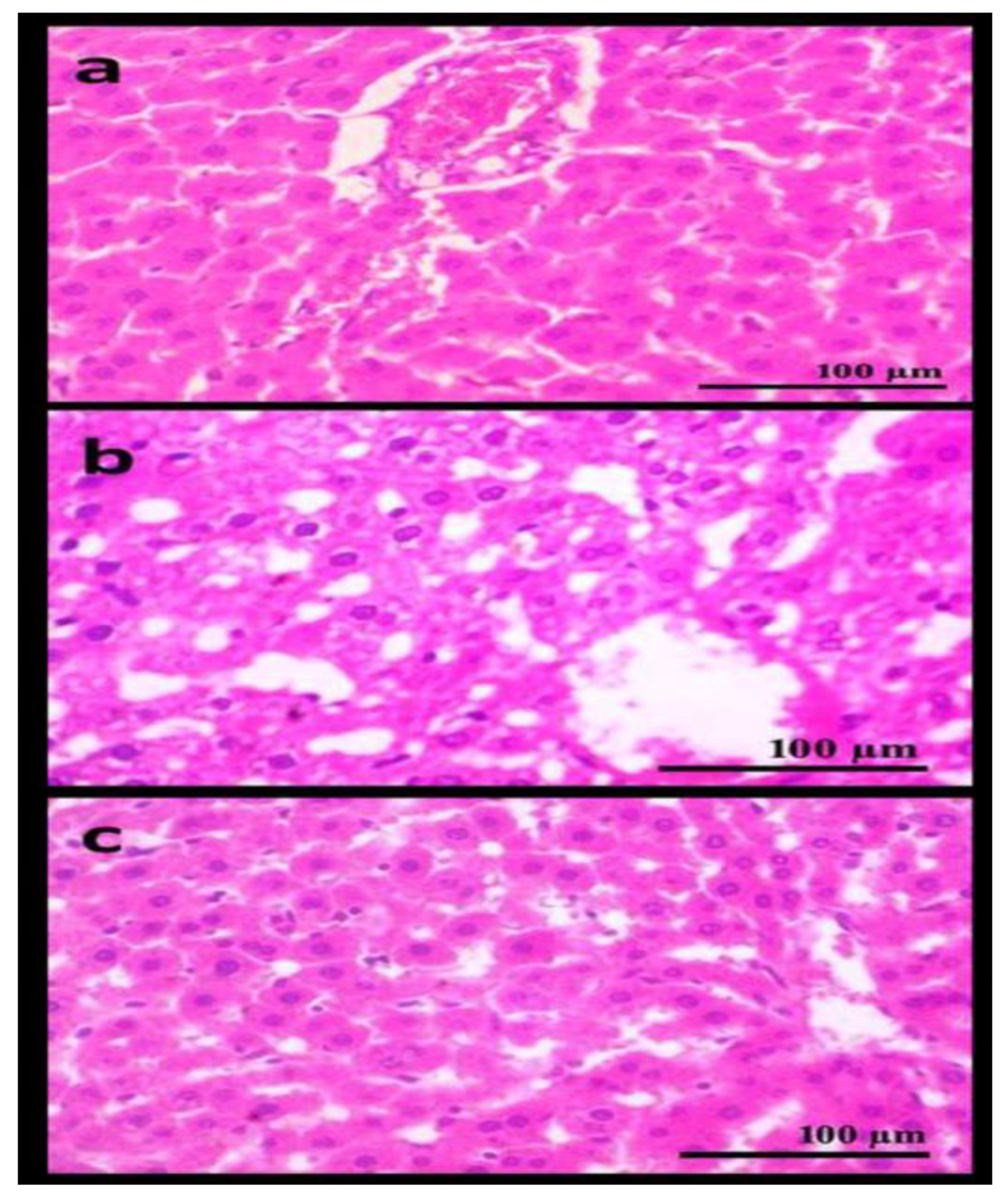 Fermentation 08 00610 g003 Fermentation 08 00610 g003