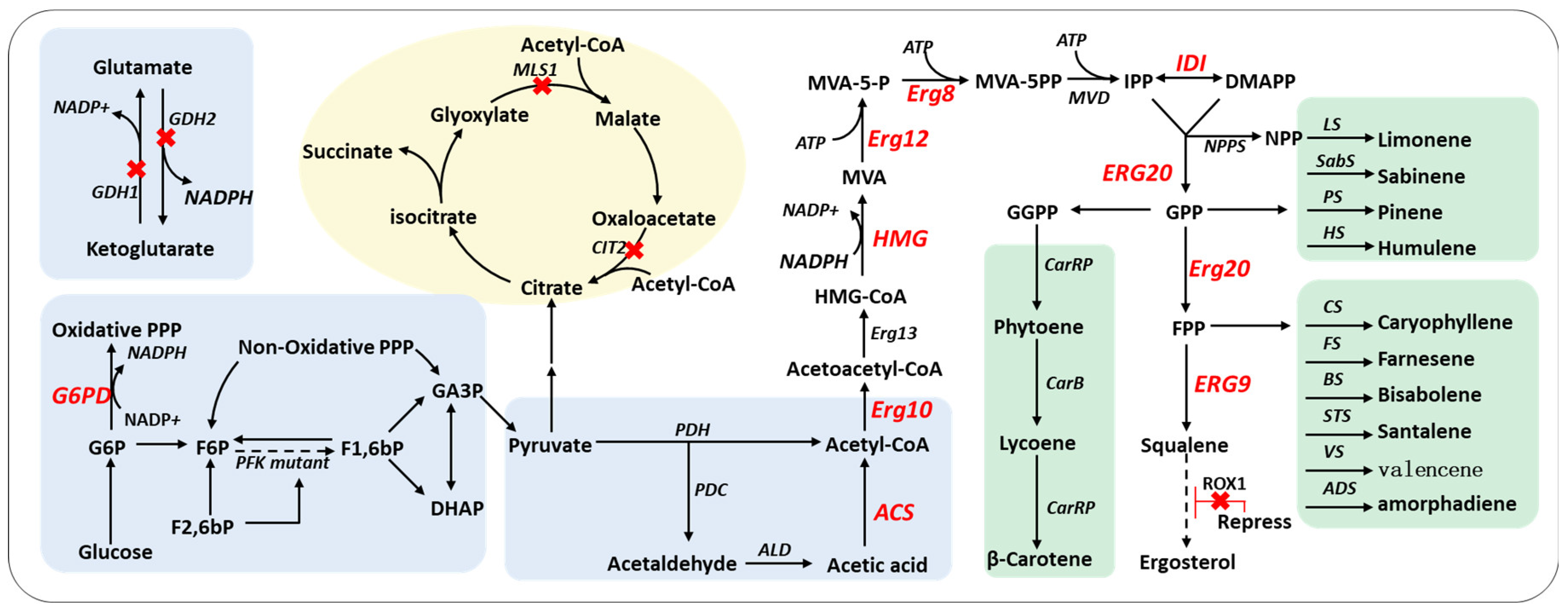 Fermentation 08 00615 g001