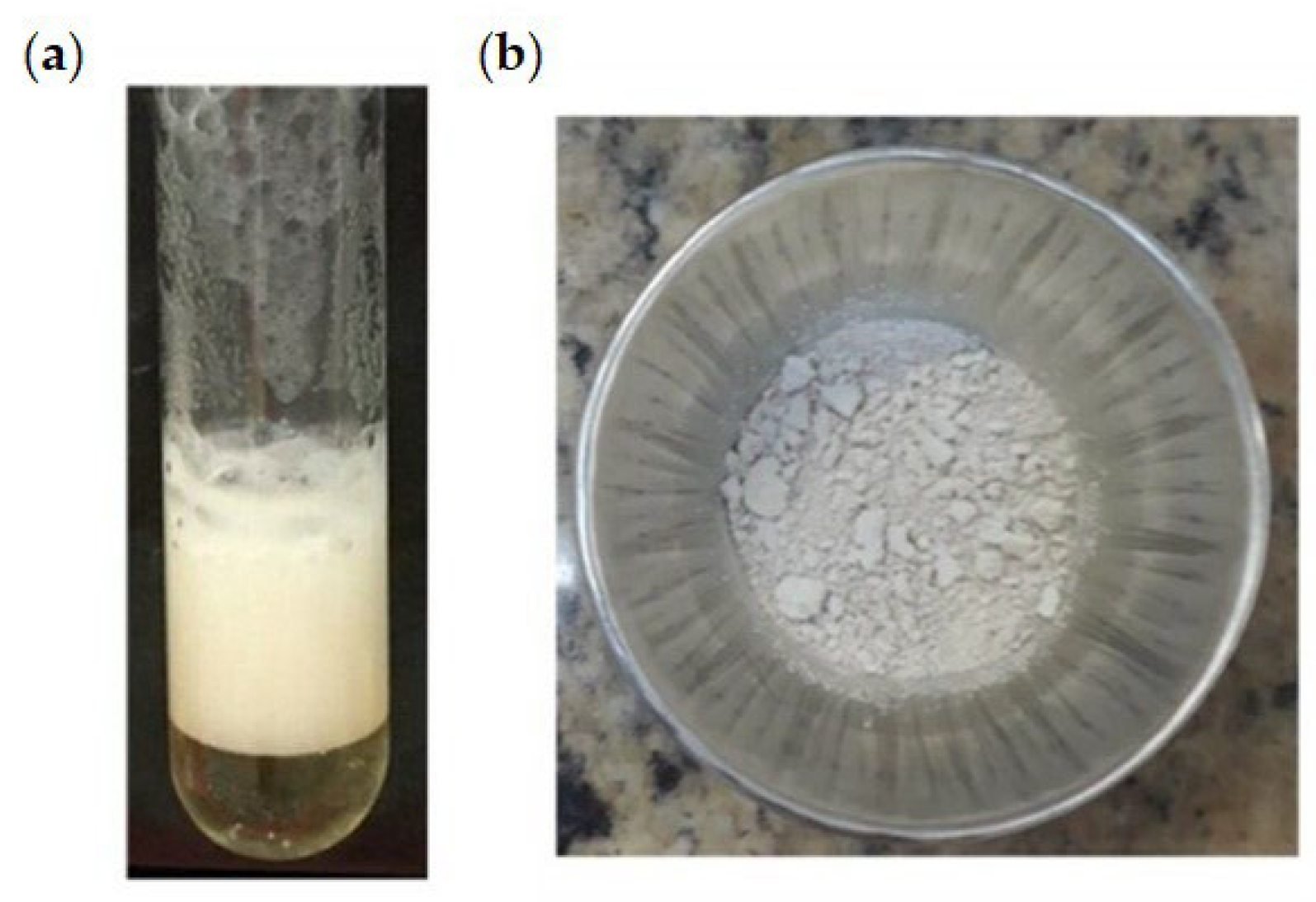 Fermentation 08 00618 g001