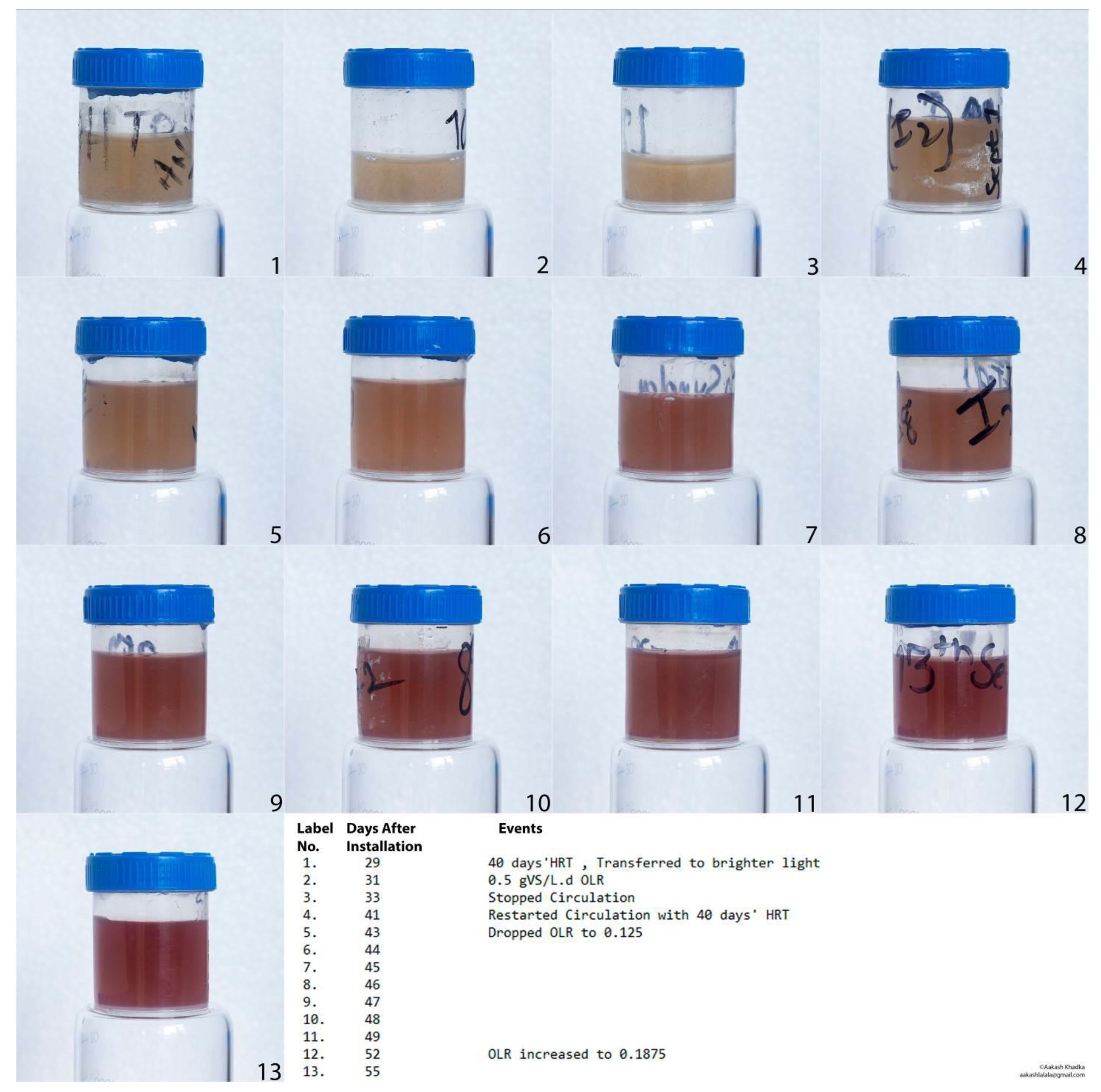 Fermentation 08 00620 g005 Fermentation 08 00620 g005