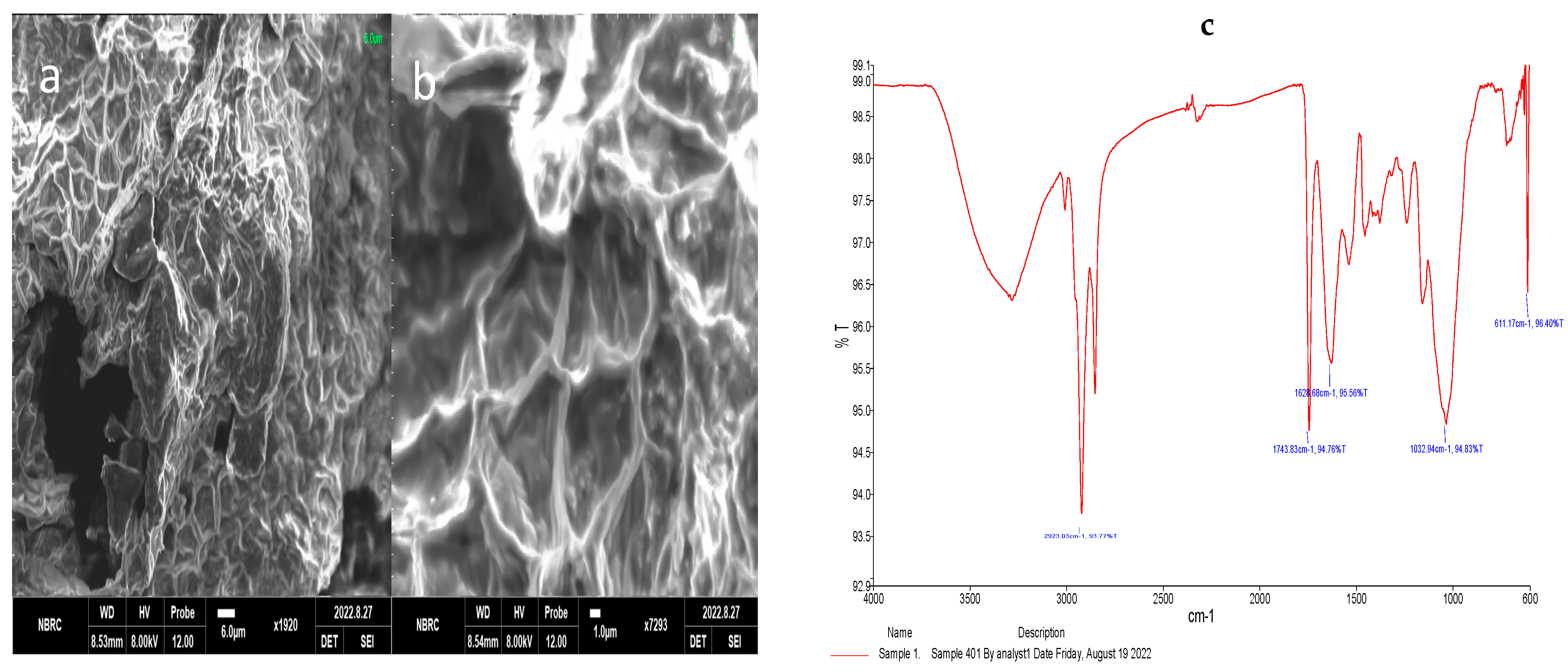 Fermentation 08 00622 g002