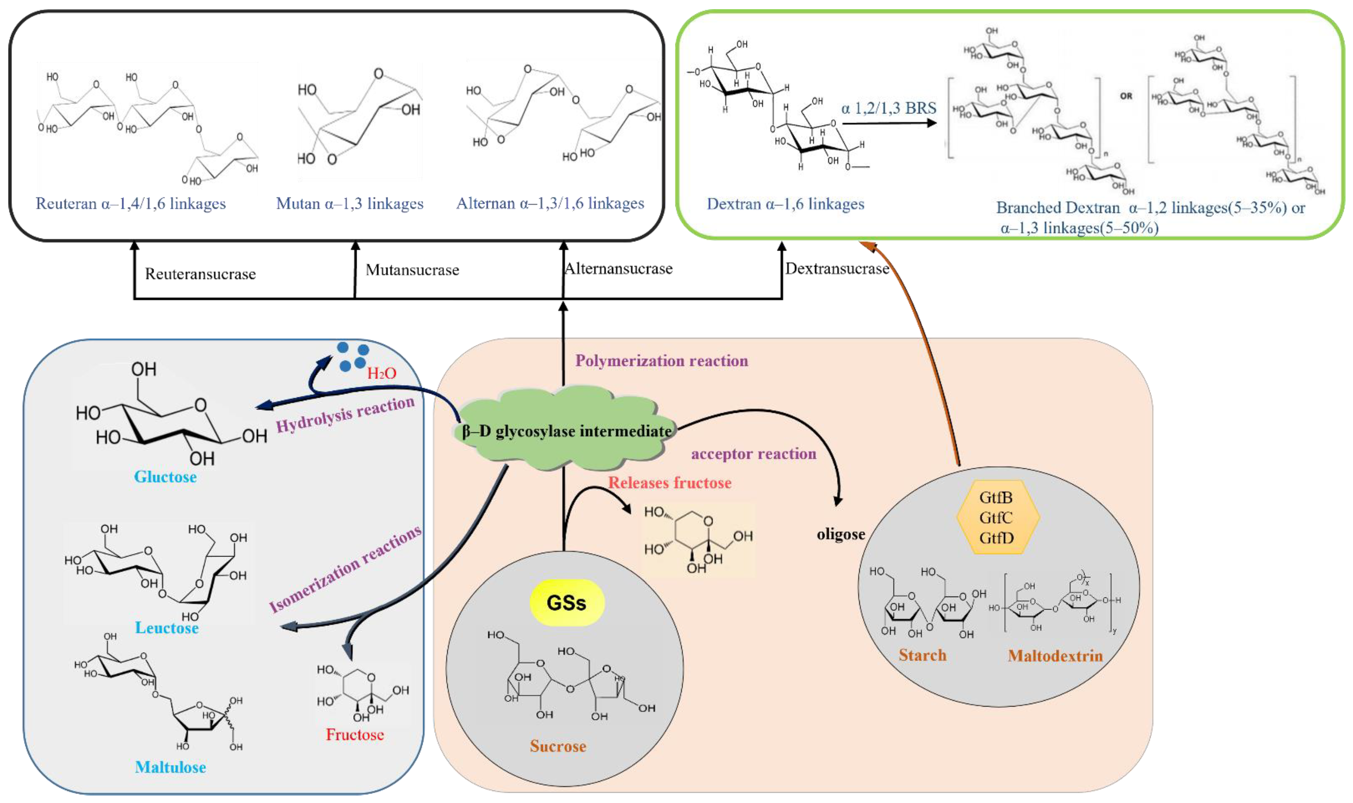 Fermentation 08 00629 g003